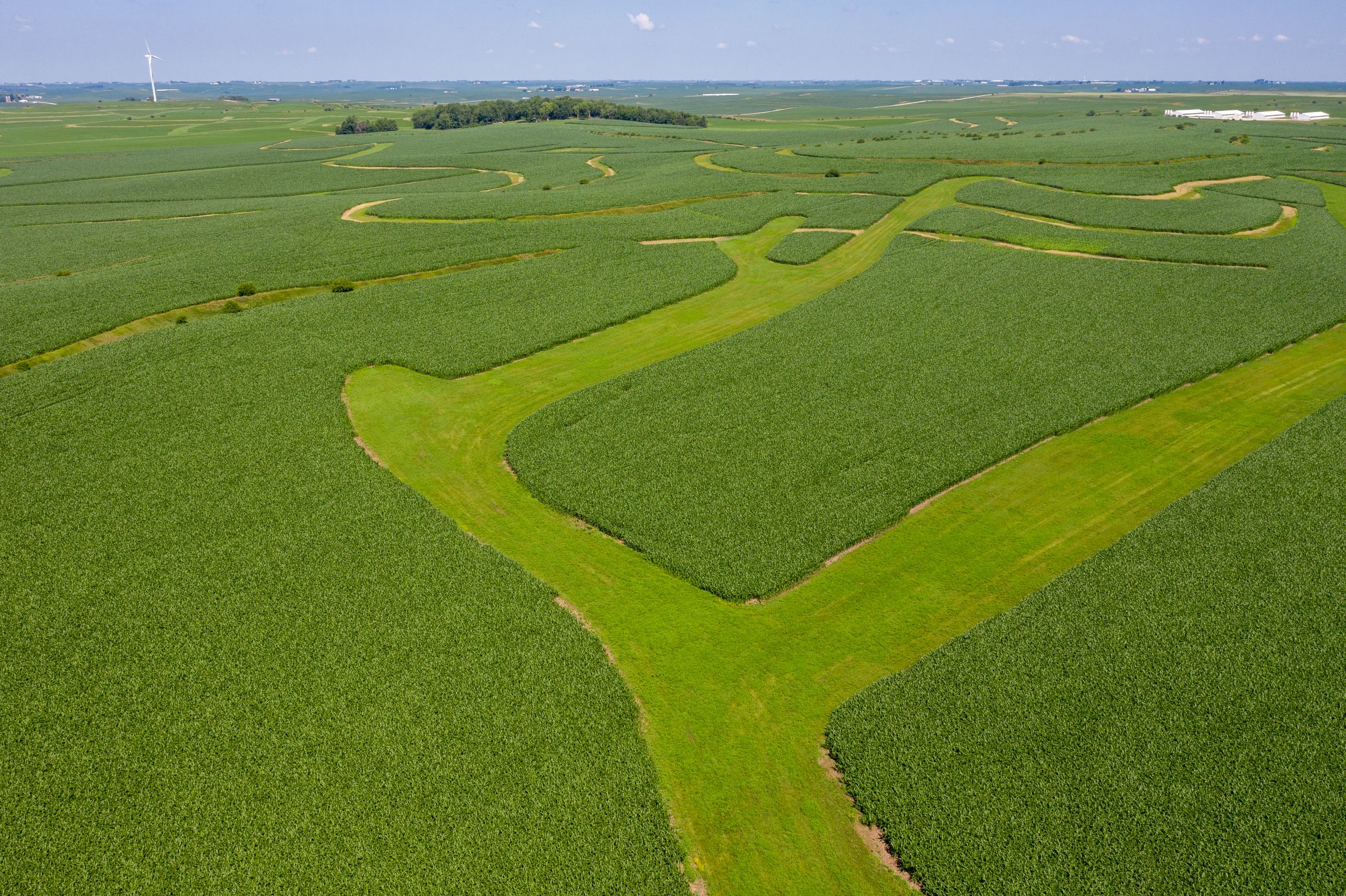 Garst Farms Auction