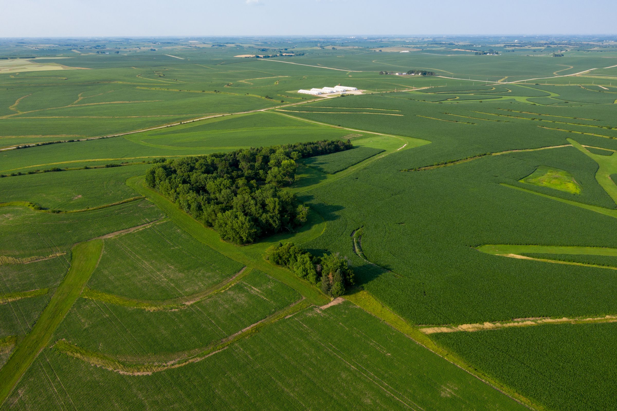 Garst Farms Auction