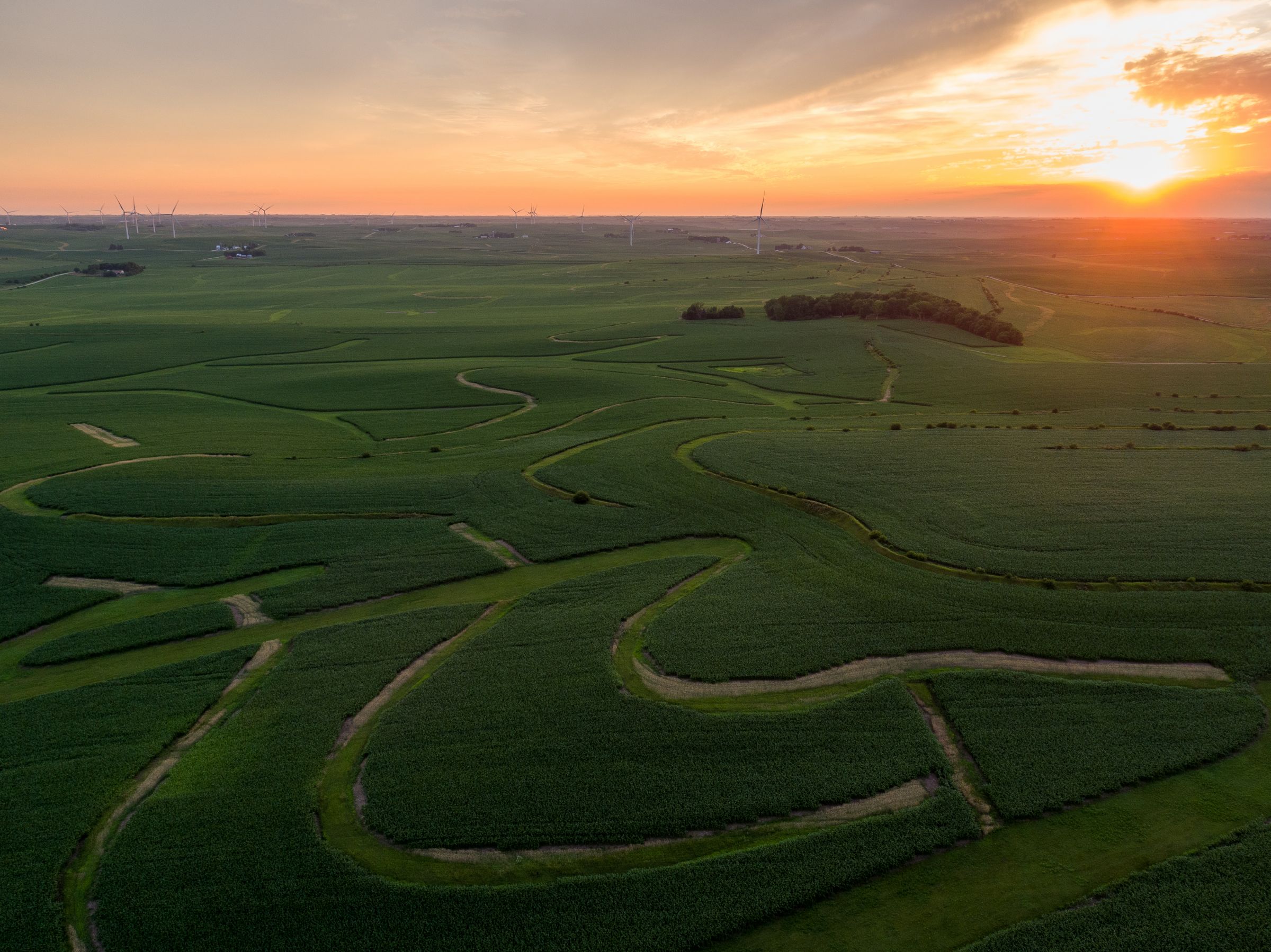 Garst Farms Auction