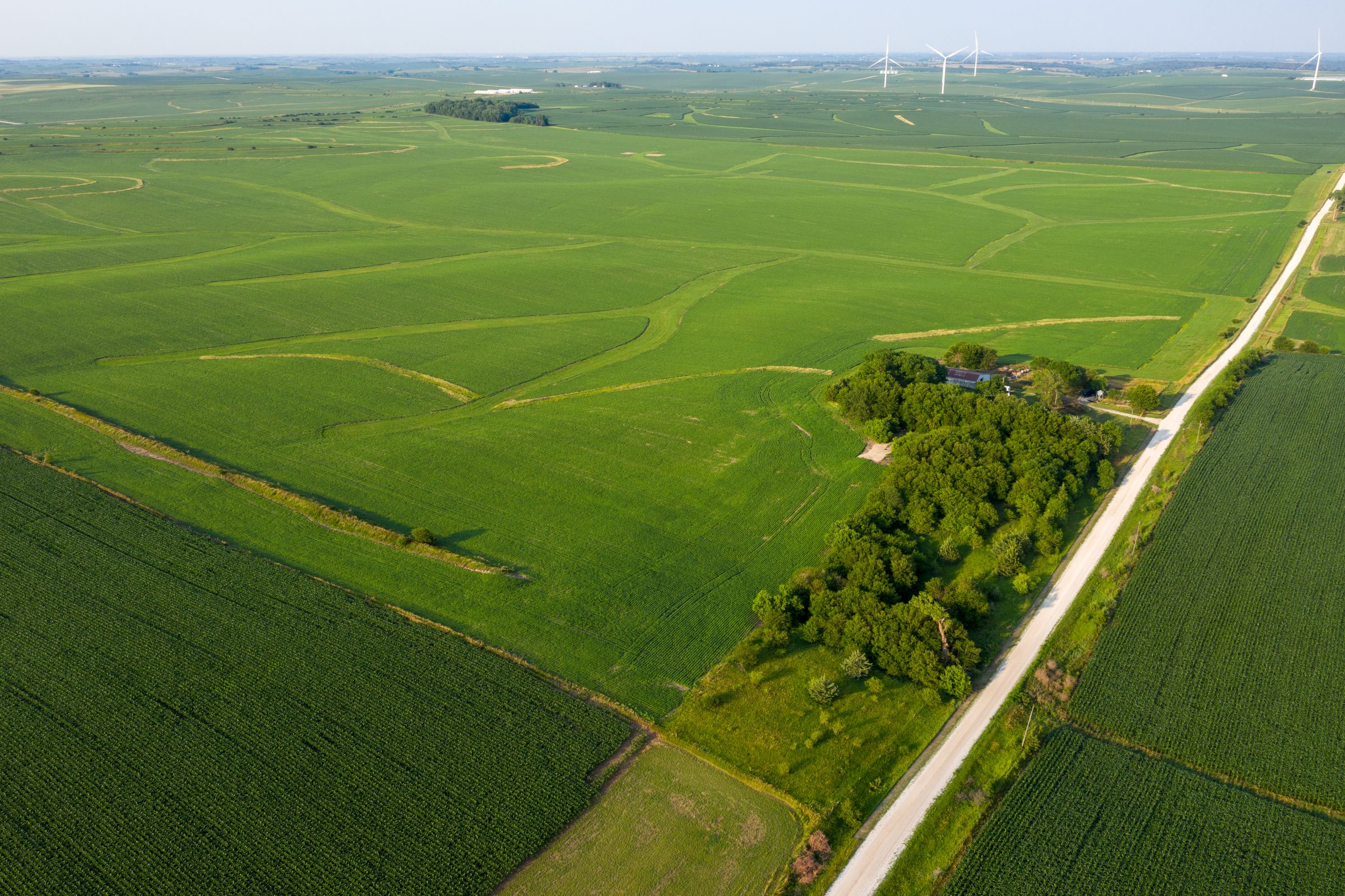 Garst Farms Auction