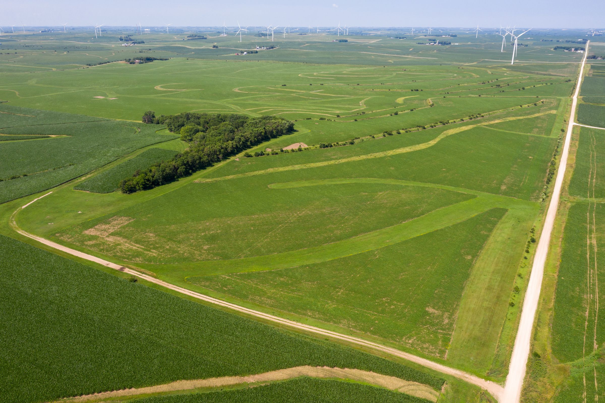 Garst Farms Auction