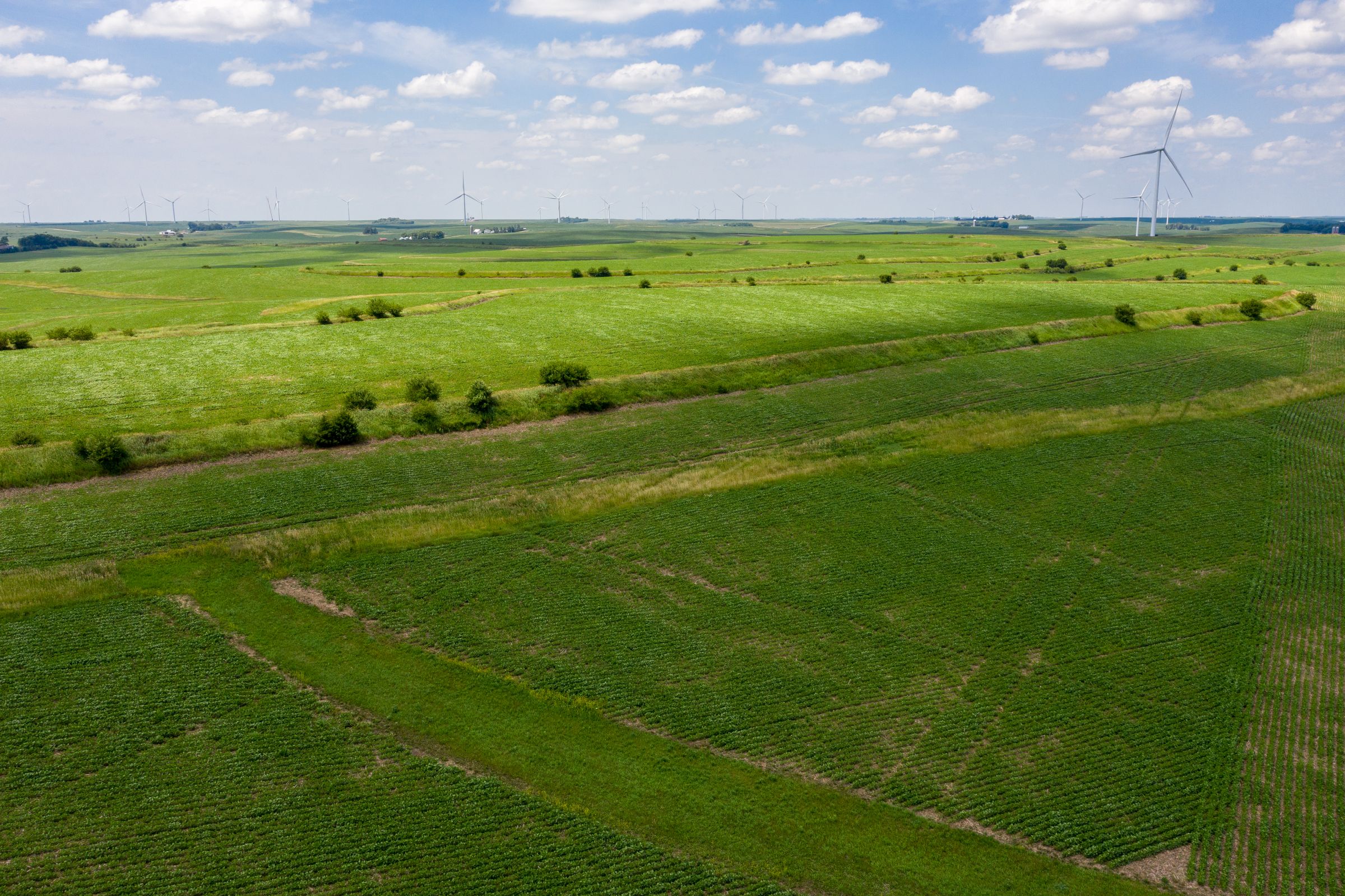 Garst Farms Auction