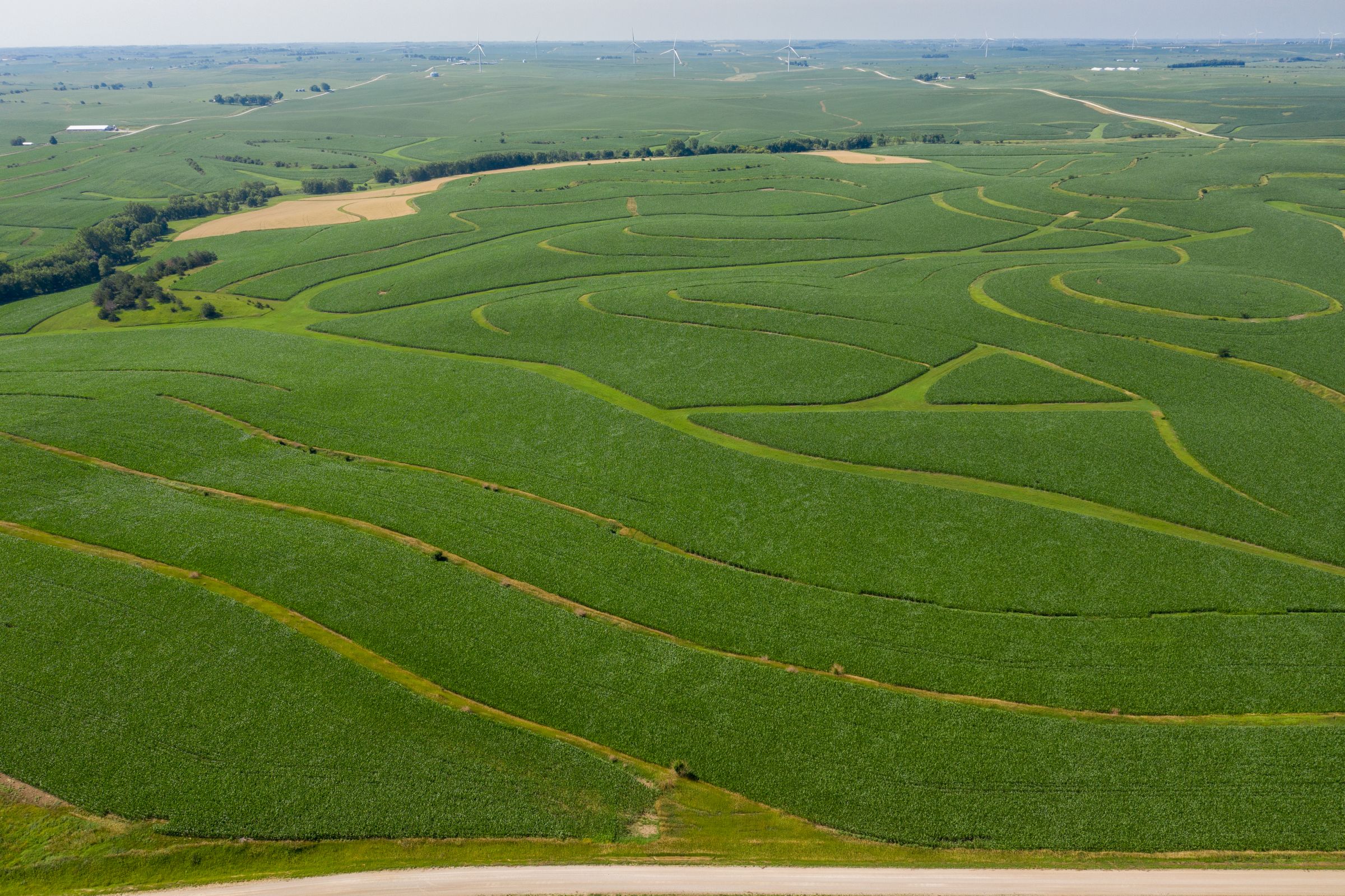 Garst Farms Auction