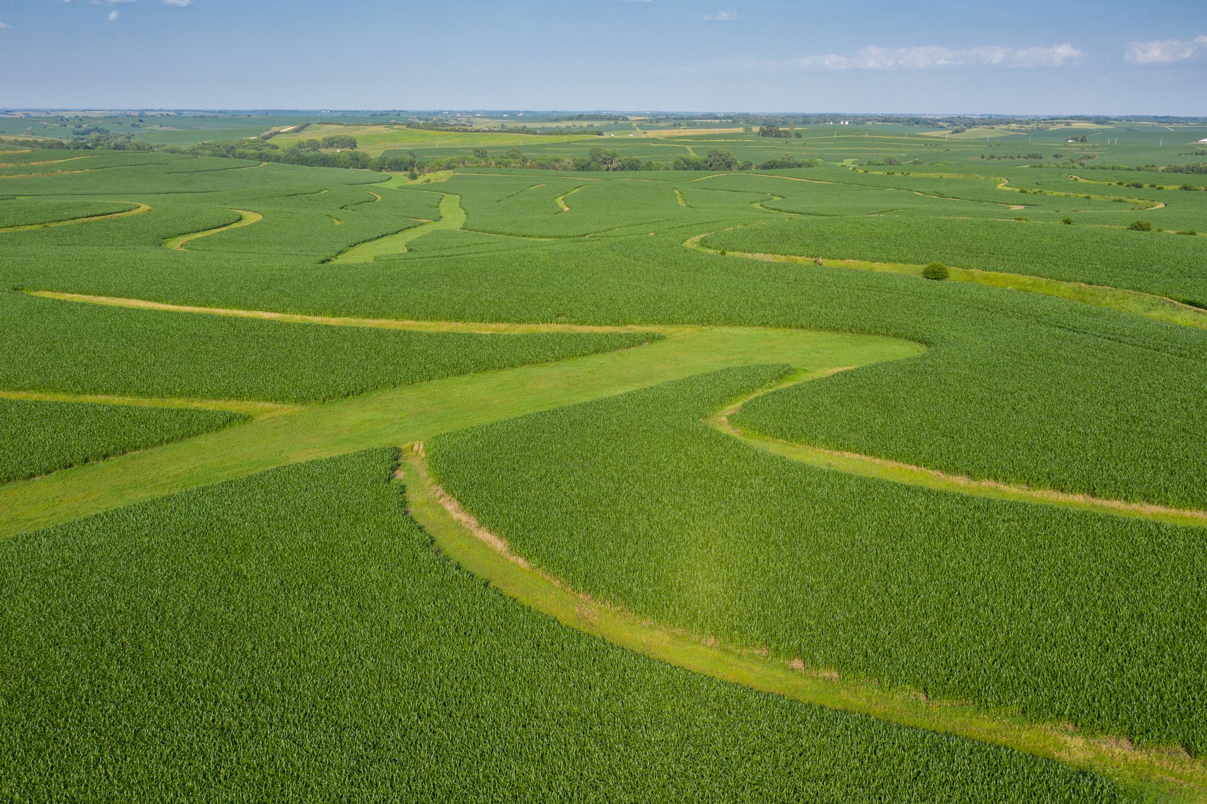 Garst Farms Auction