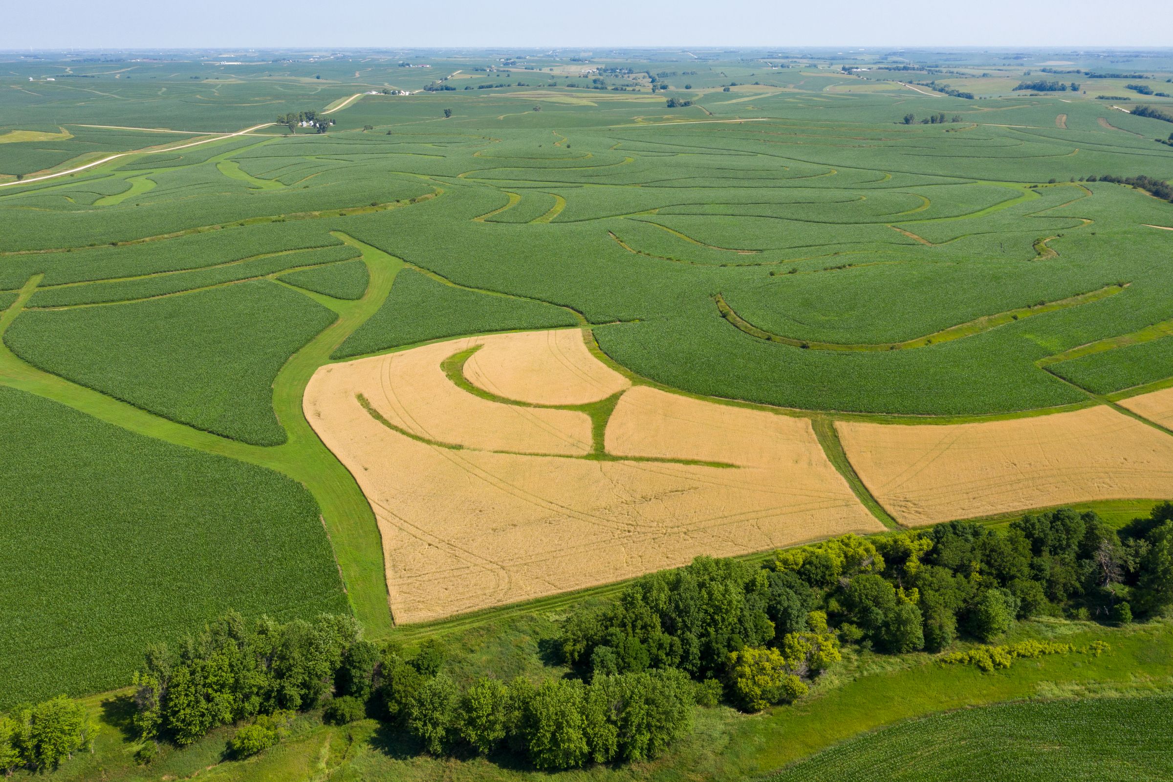 Garst Farms Auction