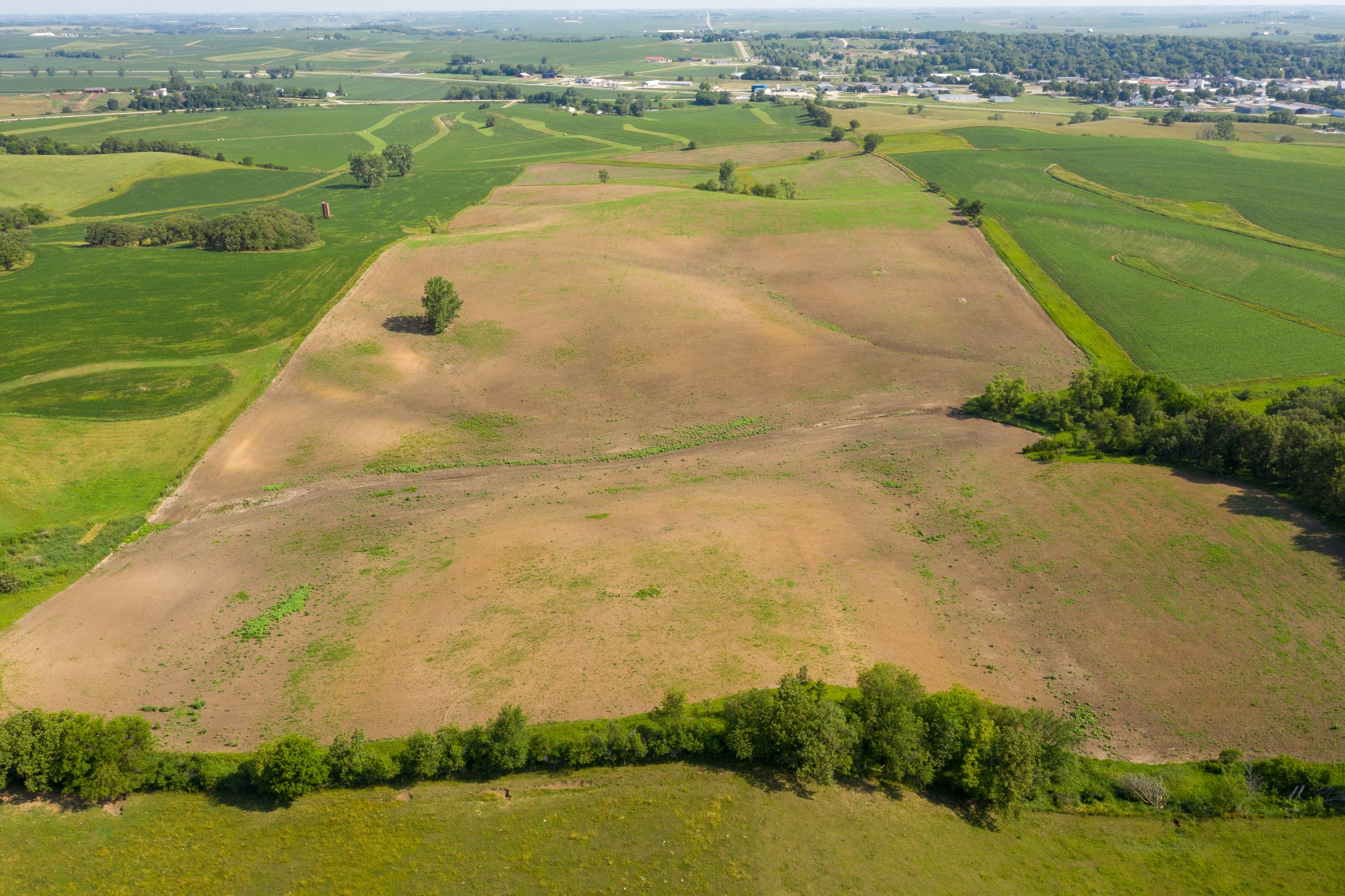 Garst Farms Auction