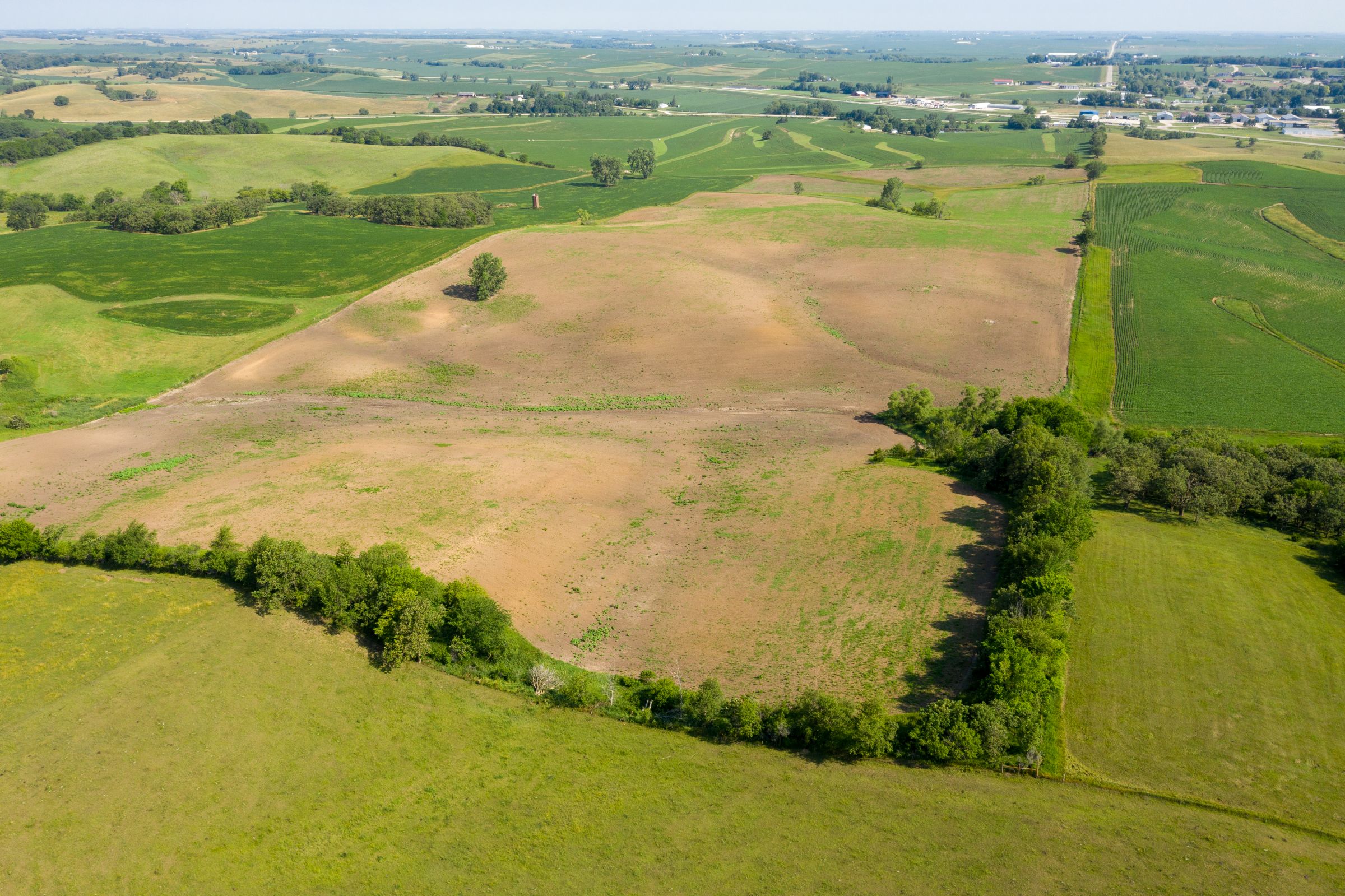 Garst Farms Auction