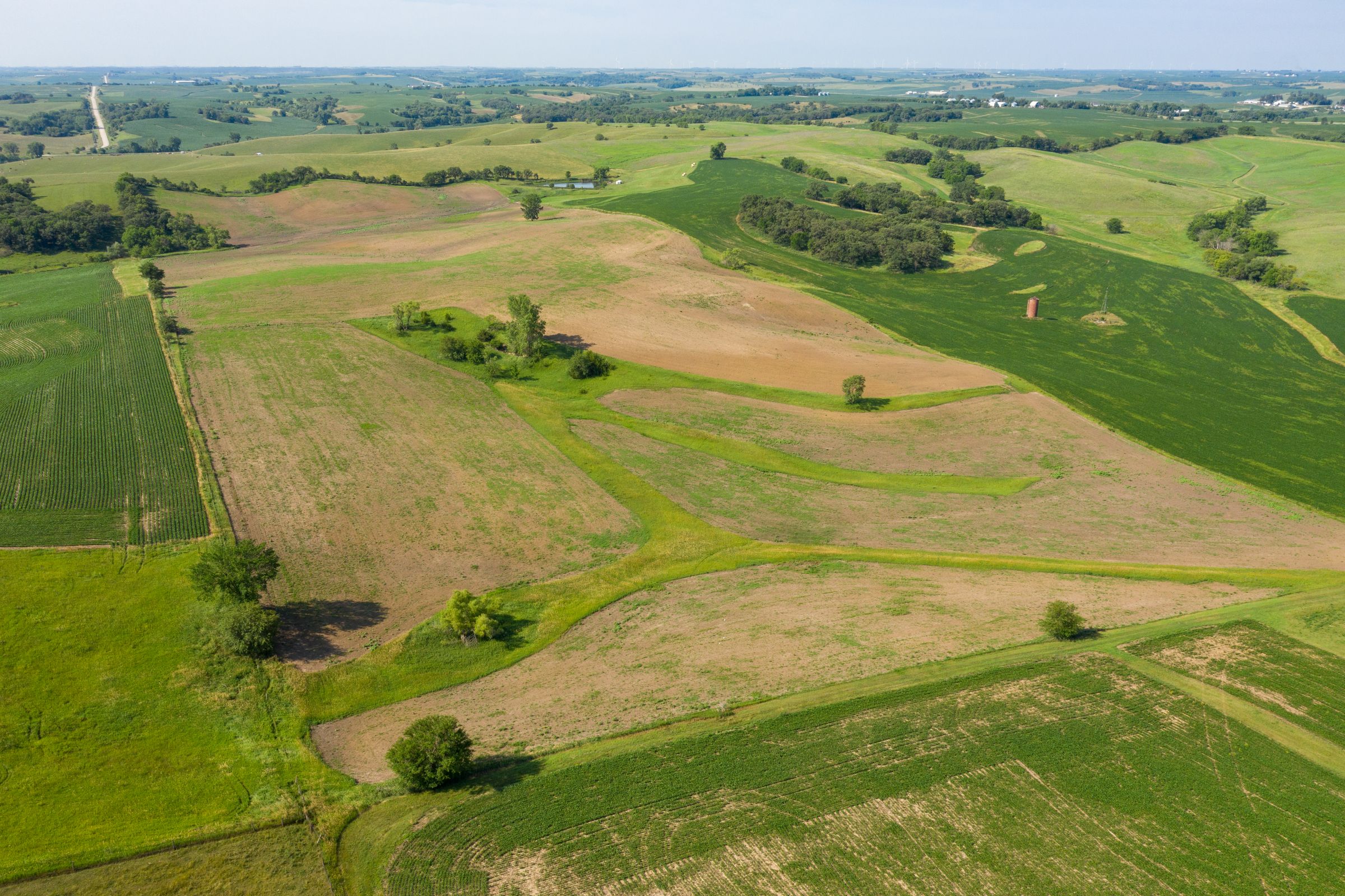 Garst Farms Auction