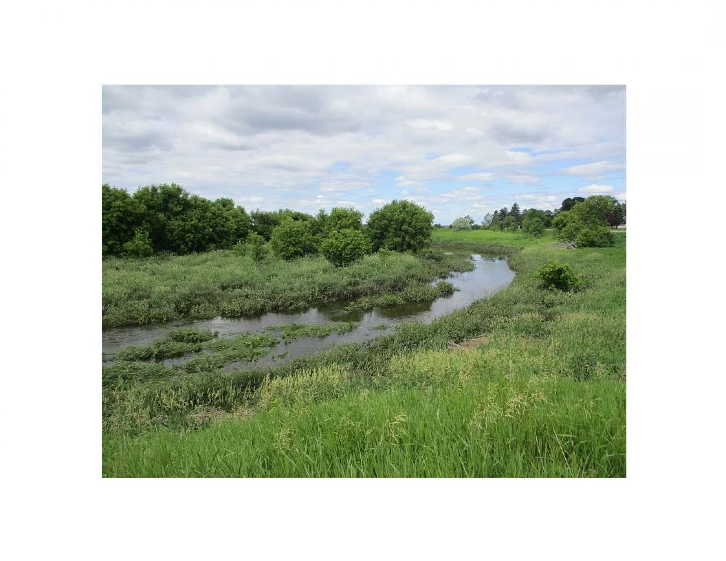 land-traill-county-north-dakota-25-acres-listing-number-15613-0-2021-06-24-191716.jpg