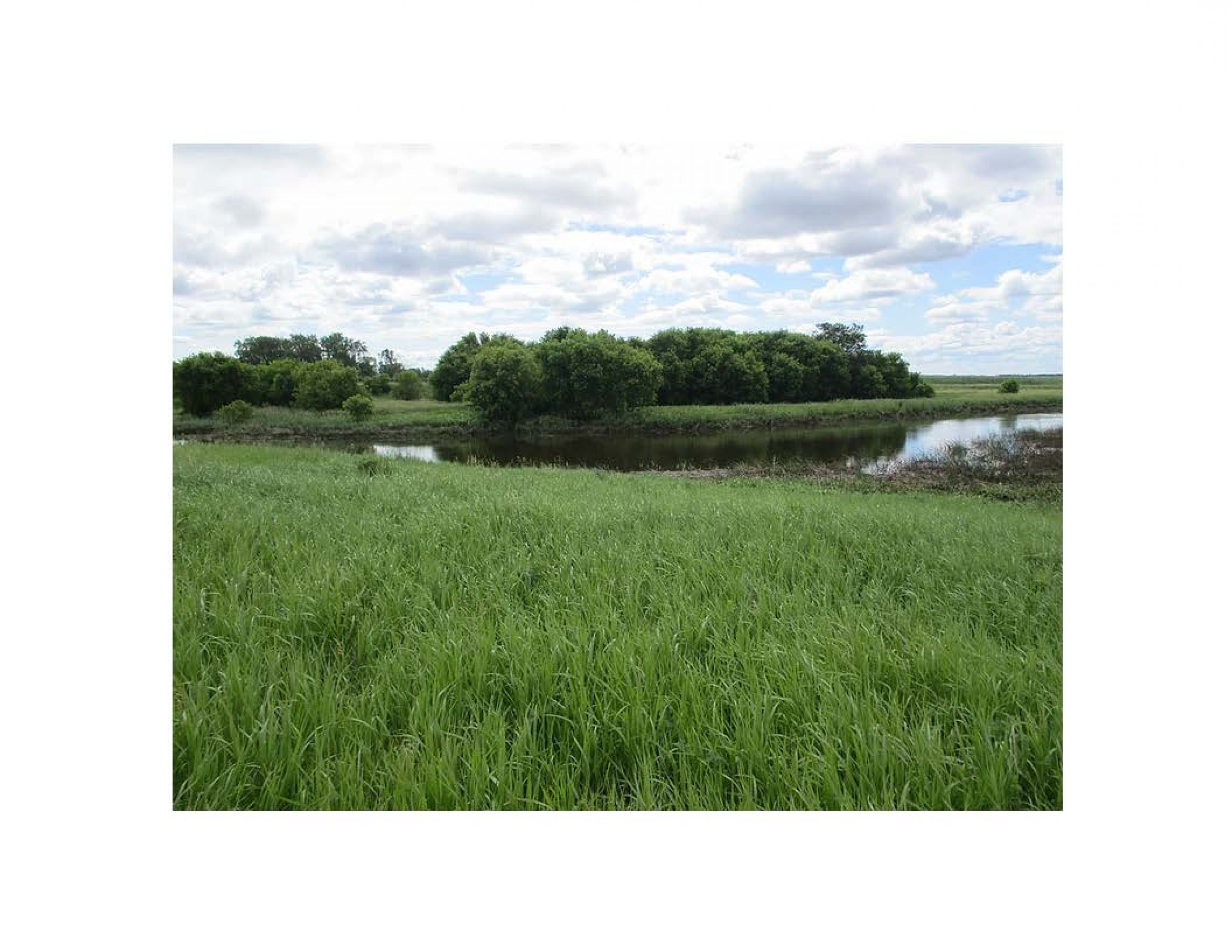 land-traill-county-north-dakota-25-acres-listing-number-15613-2-2021-06-24-191717.jpg