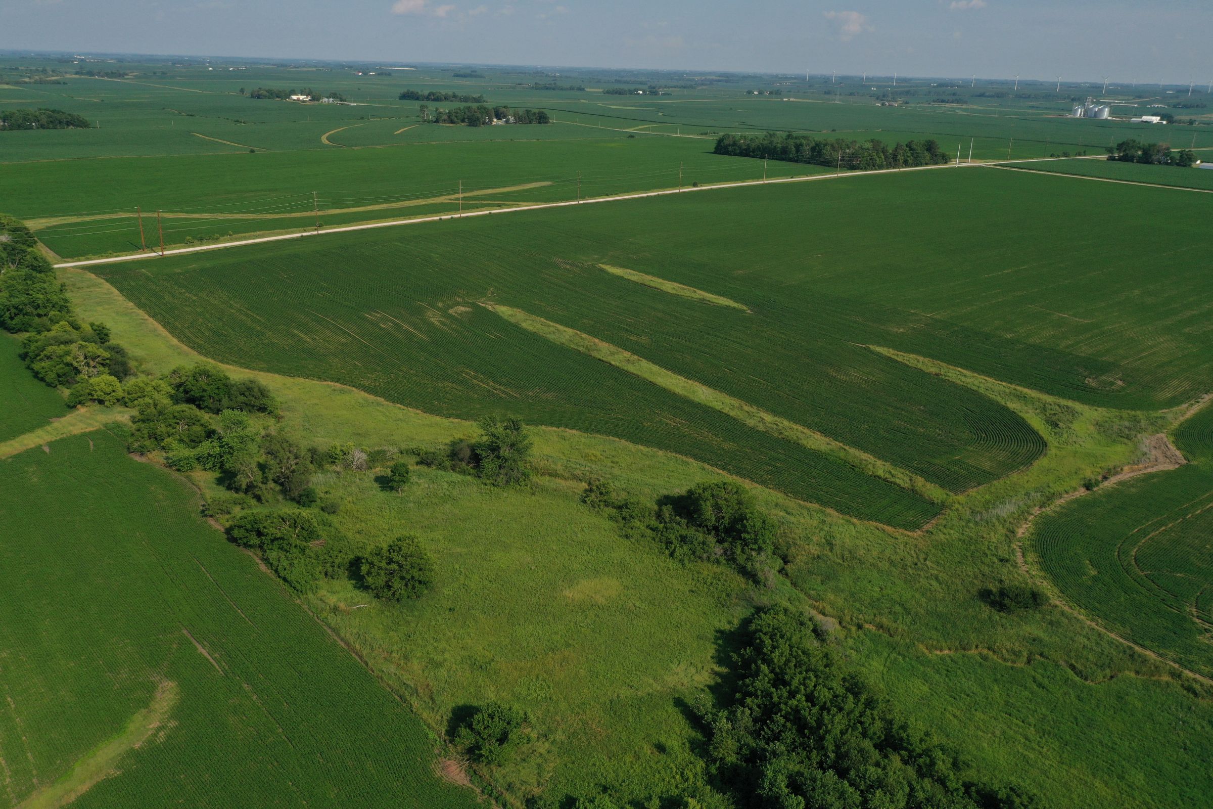 story-county-iowa-80-acres-listing-number-15620-0-2021-07-02-151848.JPG