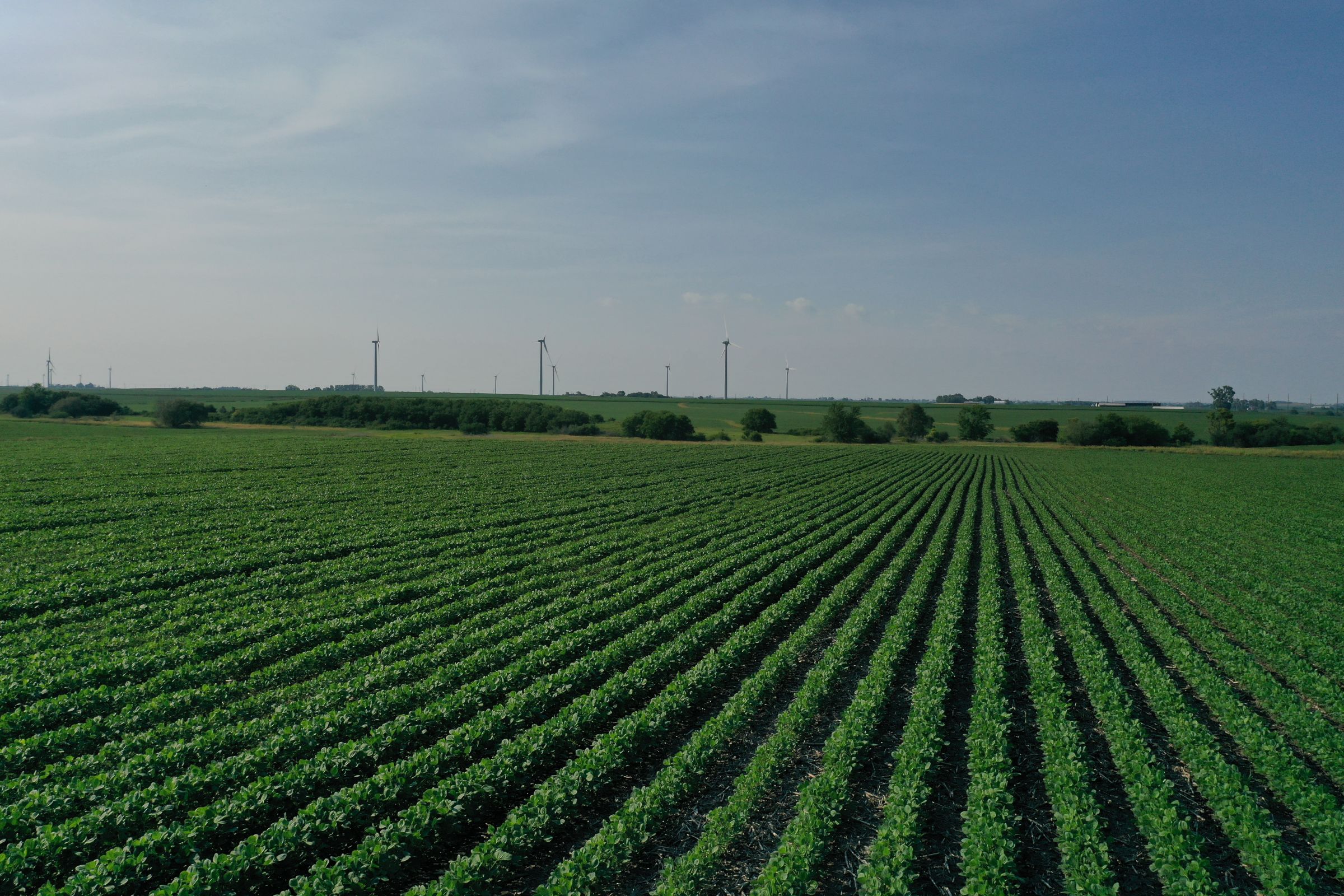 story-county-iowa-80-acres-listing-number-15620-1-2021-07-02-151517.JPG