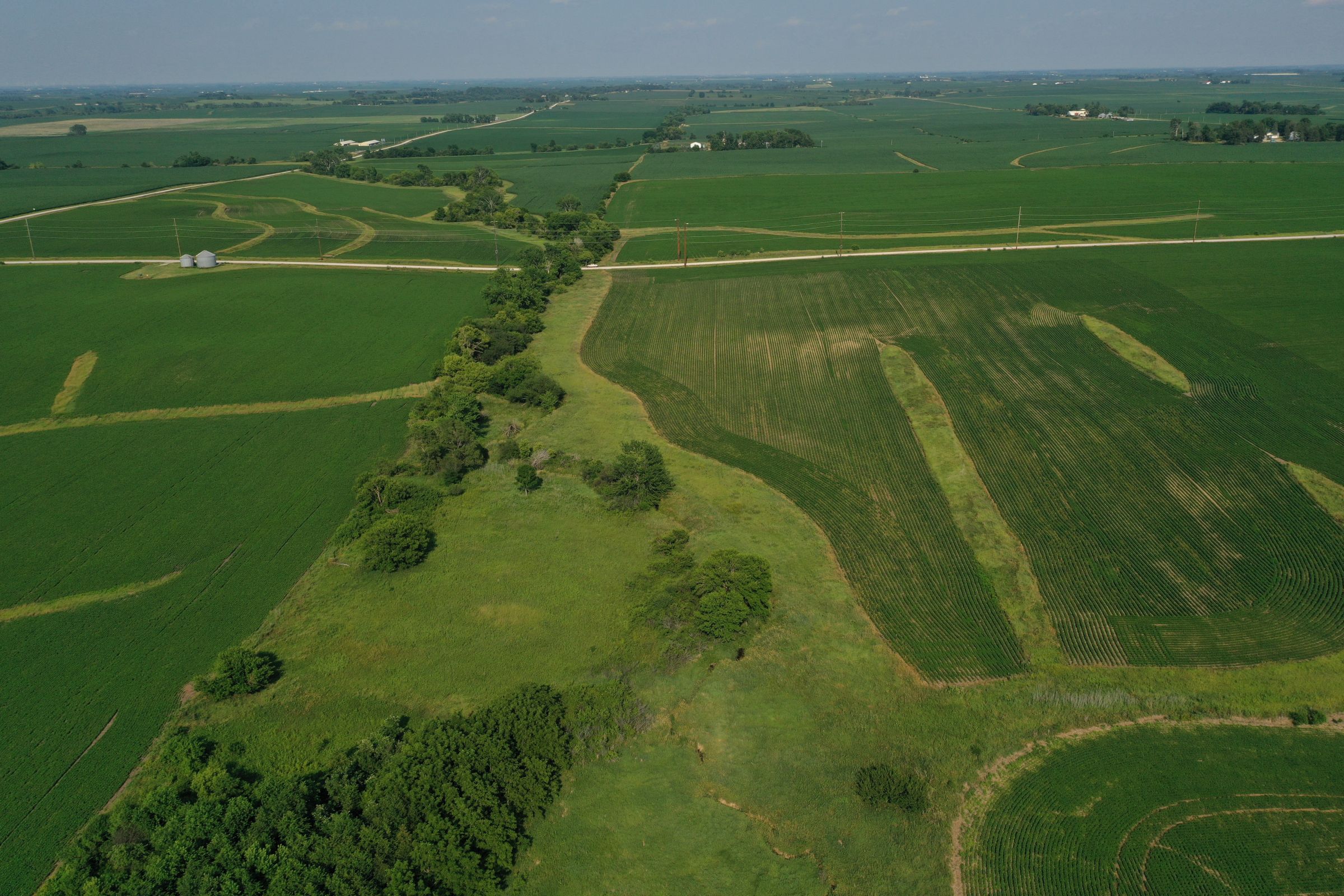 story-county-iowa-80-acres-listing-number-15620-1-2021-07-02-151850.JPG