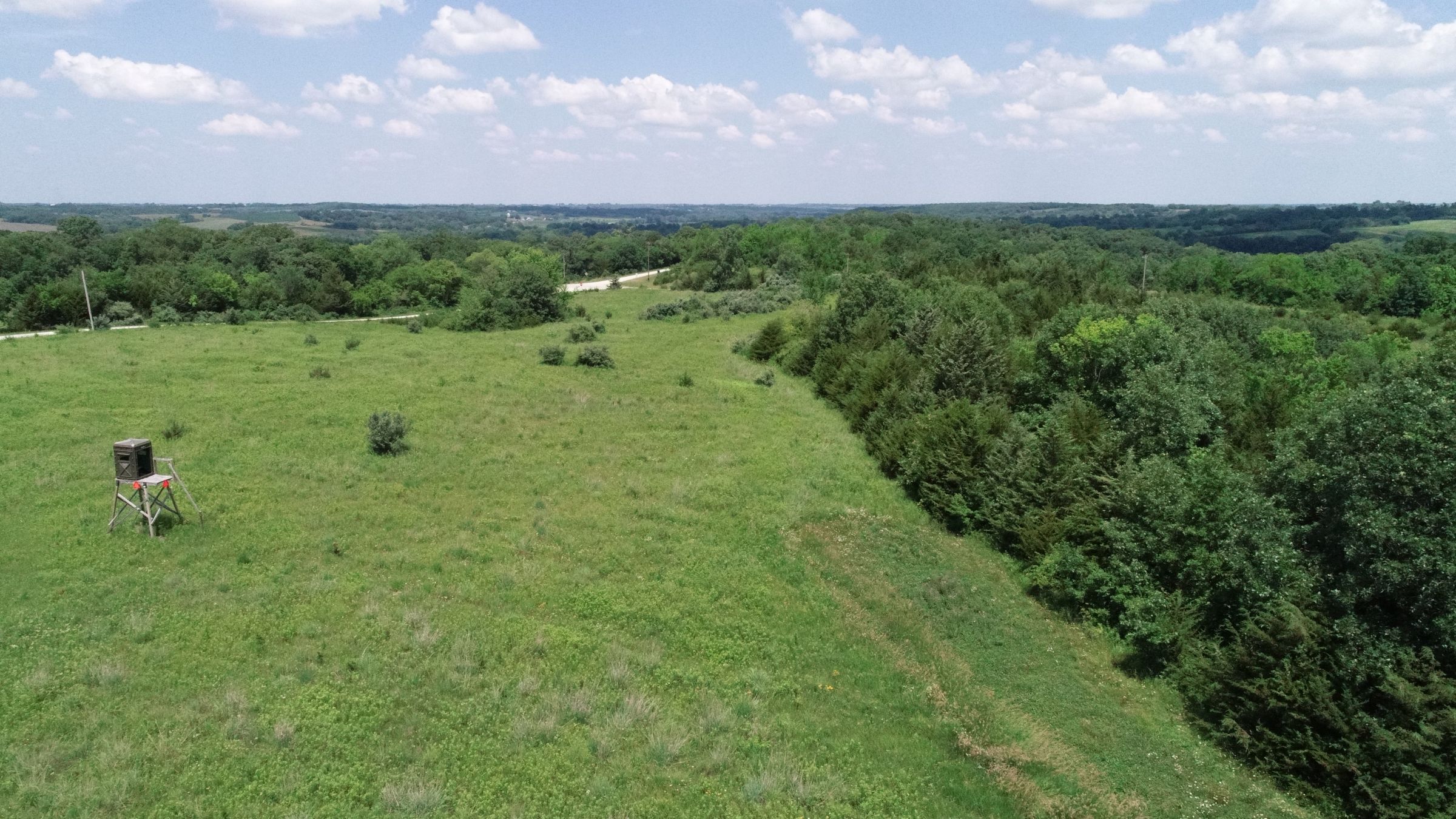 land-warren-county-iowa-29-acres-listing-number-15622-3-2021-07-02-190408.JPG