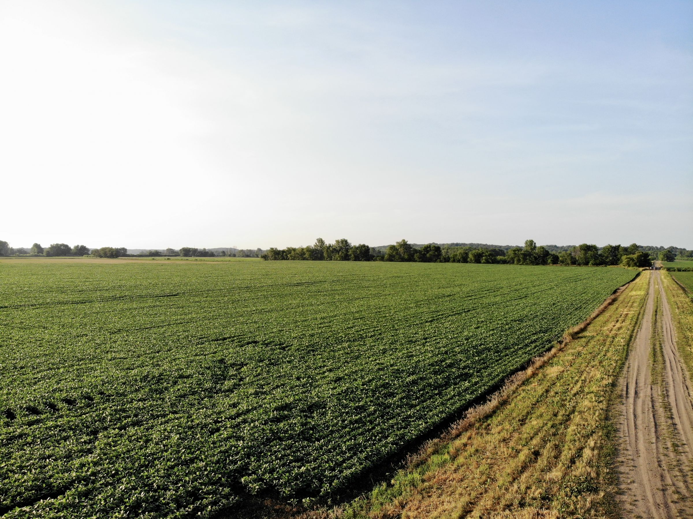 land-warren-county-iowa-27-acres-listing-number-15624-2-2021-07-07-142718.jpg