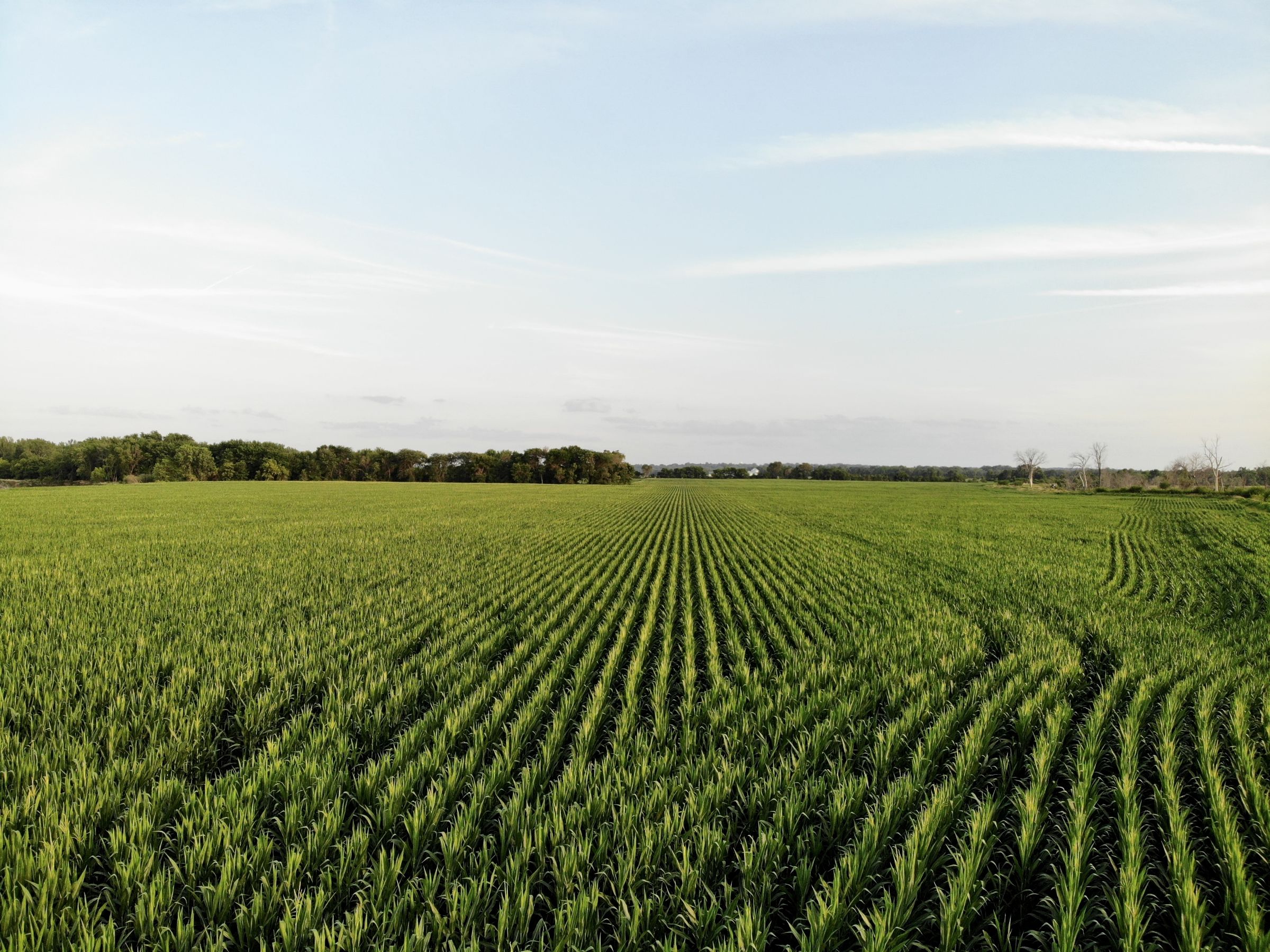 land-polk-county-iowa-202-acres-listing-number-15625-1-2021-07-09-140359.jpg