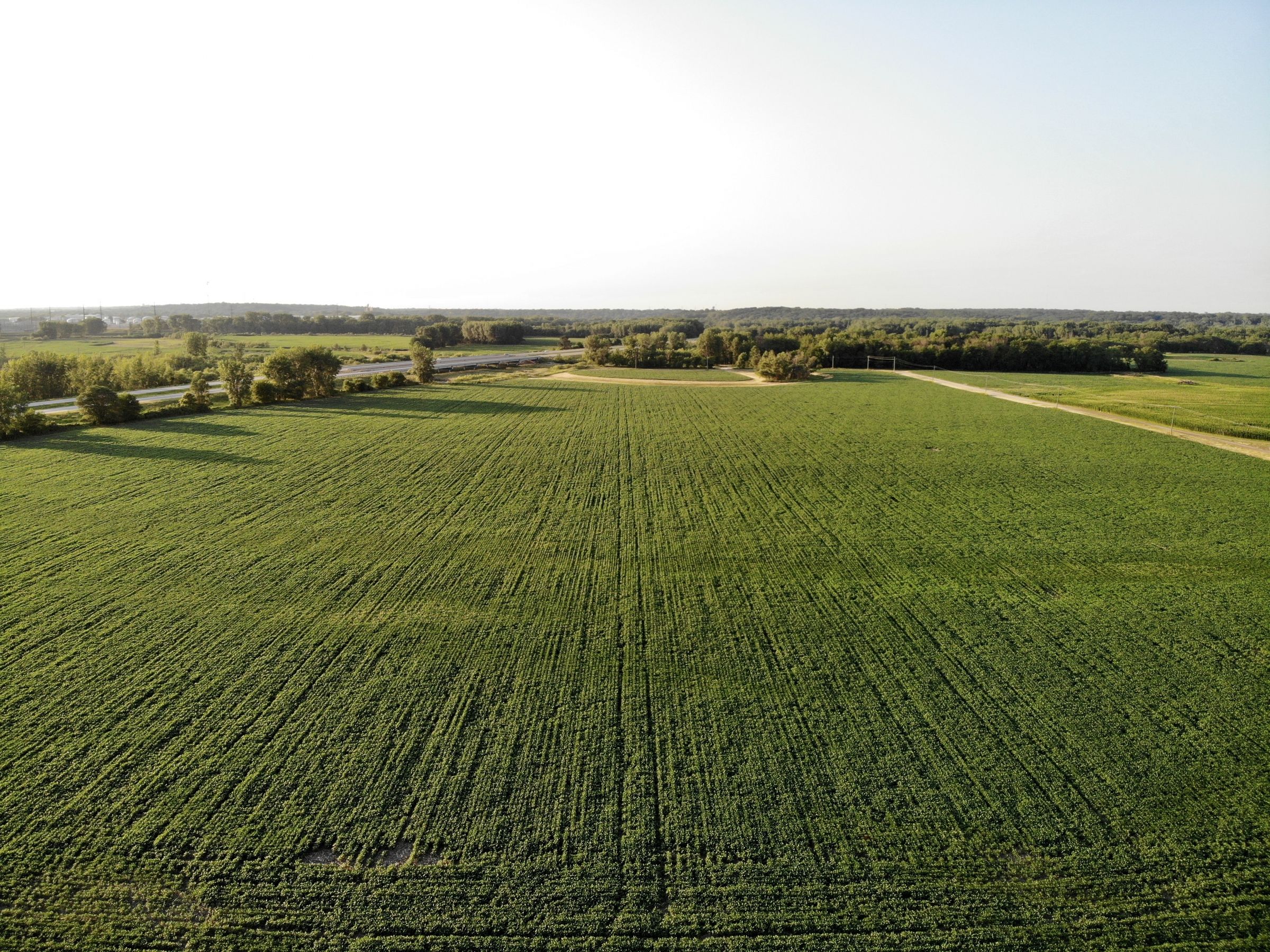 land-polk-county-iowa-89-acres-listing-number-15626-1-2021-07-09-142609.jpg