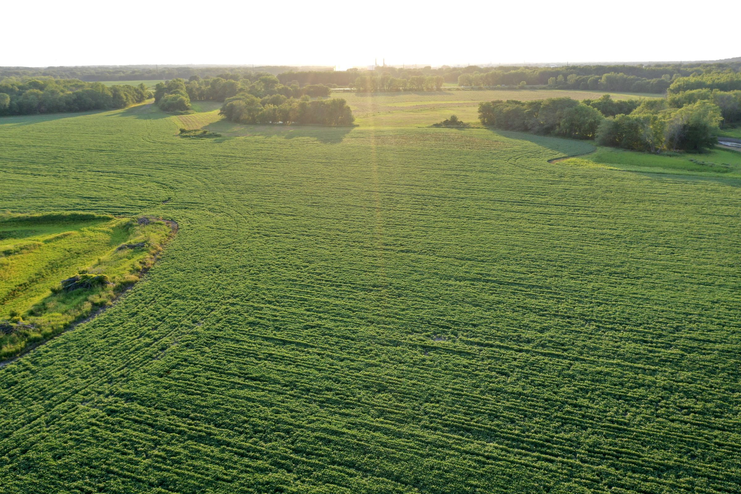 land-polk-county-iowa-242-acres-listing-number-15627-2-2021-07-09-154056.JPG