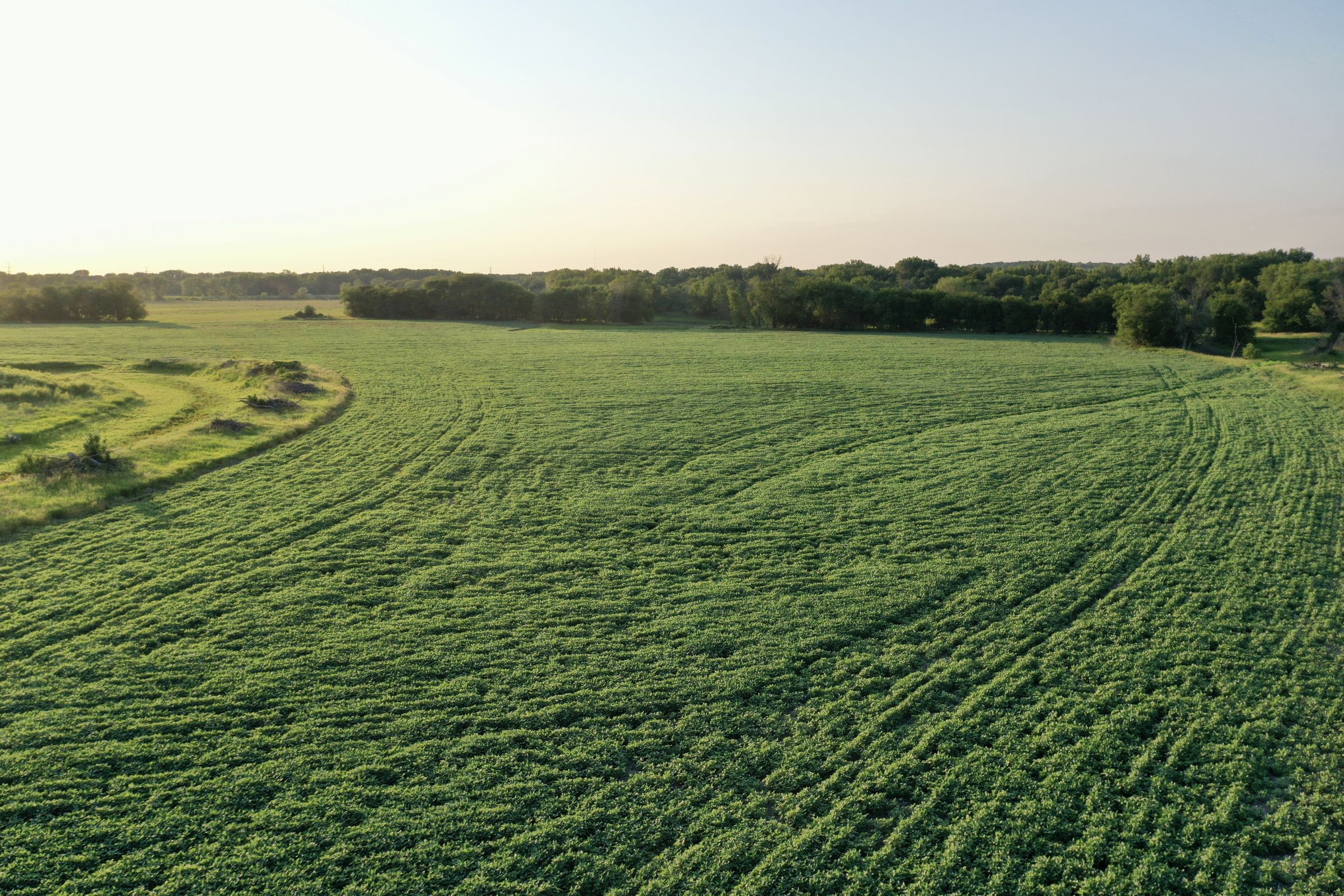 land-polk-county-iowa-242-acres-listing-number-15627-3-2021-07-09-154058.JPG