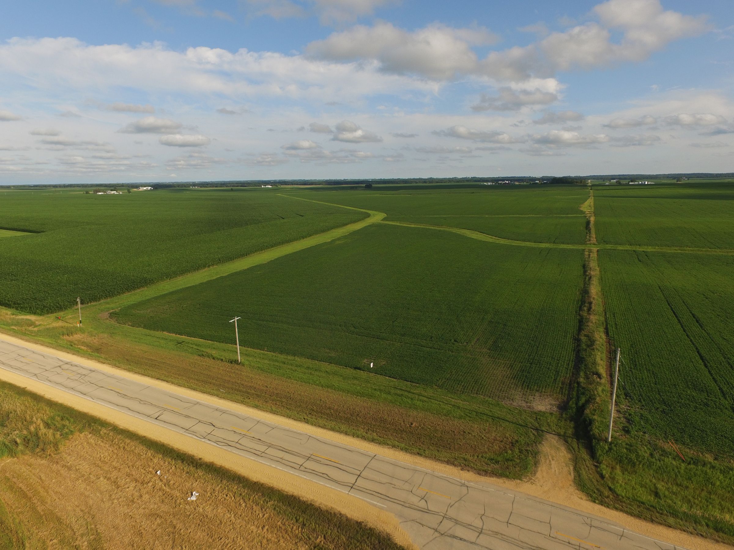 auctions-land-clinton-county-iowa-210-acres-listing-number-15628-0-2021-07-12-143507.JPG