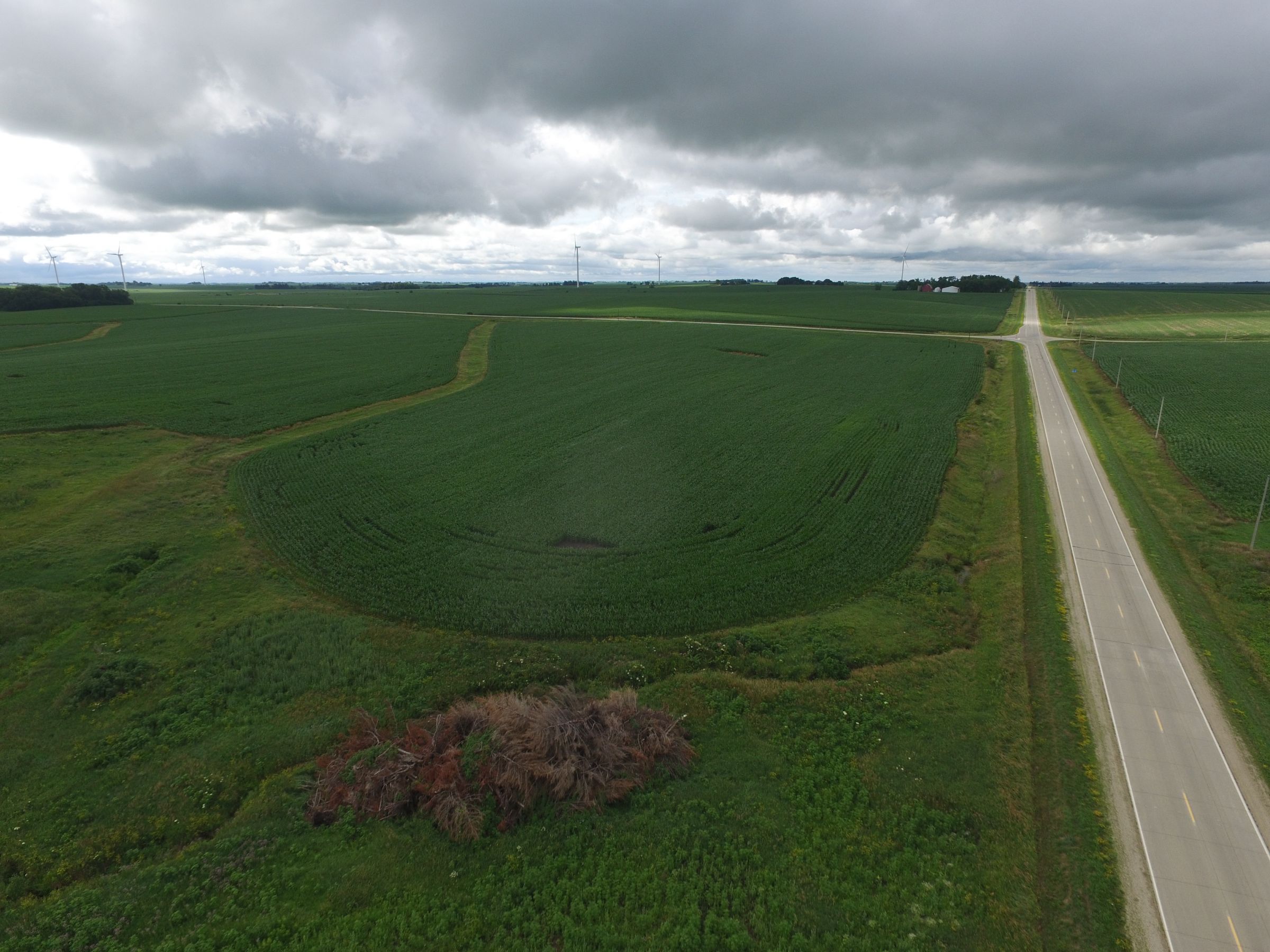 auctions-land-fayette-county-iowa-120-acres-listing-number-15629-0-2021-07-13-190746.JPG