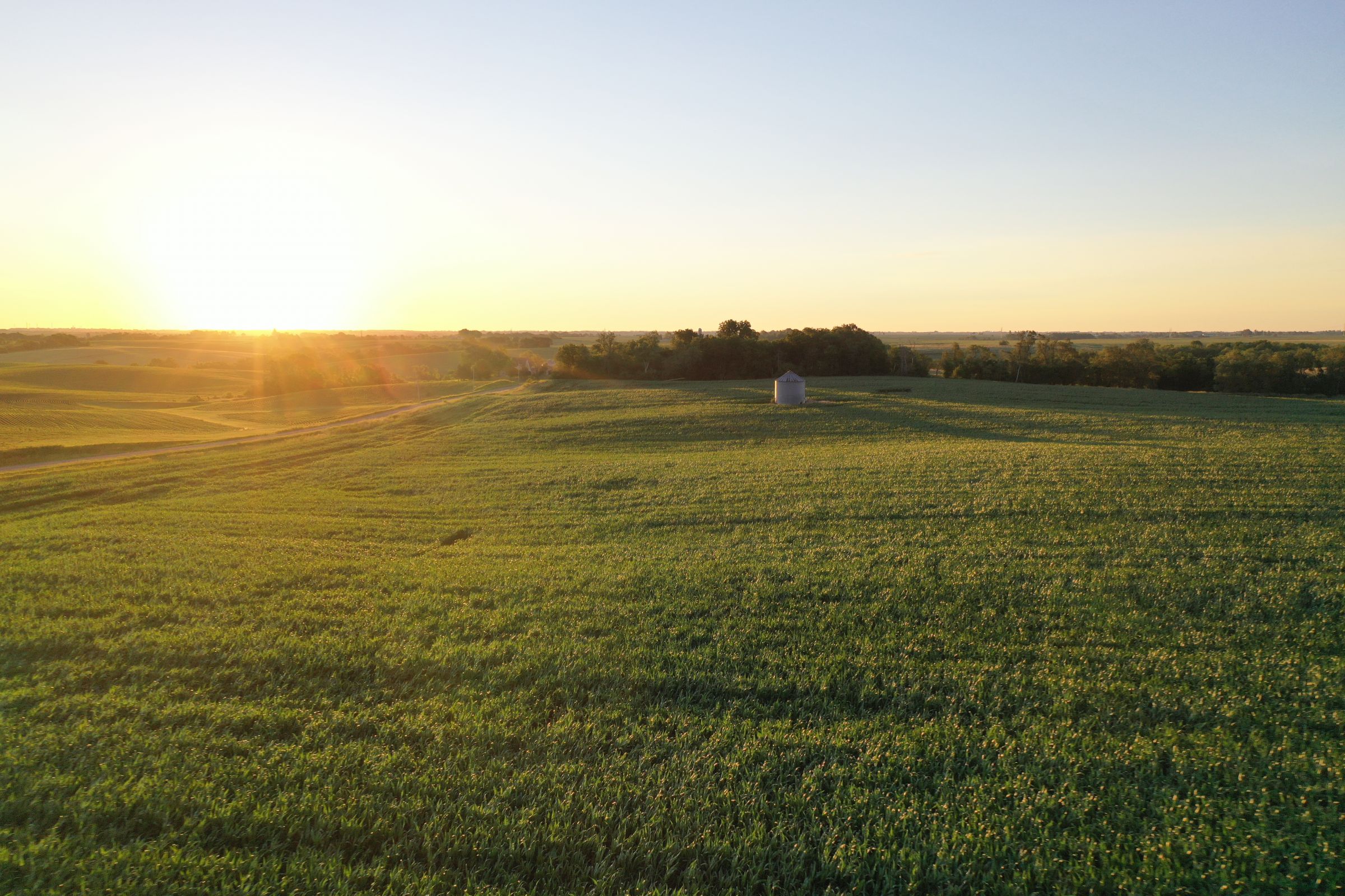 auctions-mahaska-county-iowa-160-acres-listing-number-15633-1-2021-07-12-194123.JPG