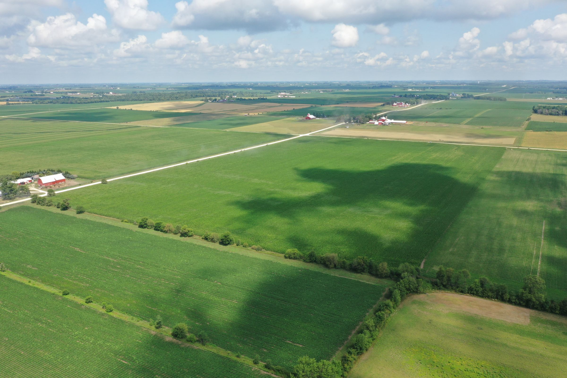 land-buchanan-county-iowa-60-acres-listing-number-15640-2-2021-07-15-183930.JPG