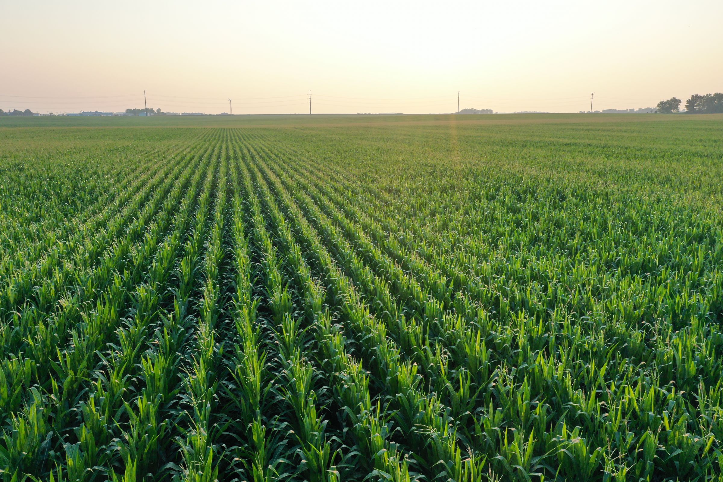 development-land-commercial-cerro-gordo-county-iowa-108-acres-listing-number-15644-1-2021-07-19-140718.JPG