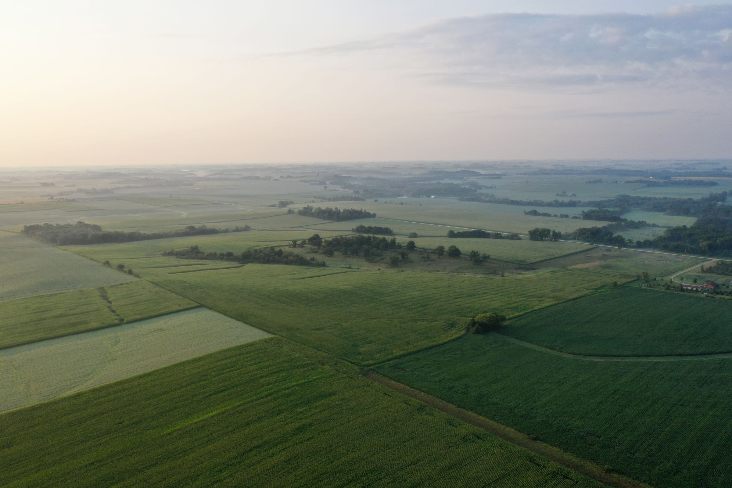 auctions-land-fayette-county-iowa-233-acres-listing-number-15645-3-2021-07-21-143932.JPG