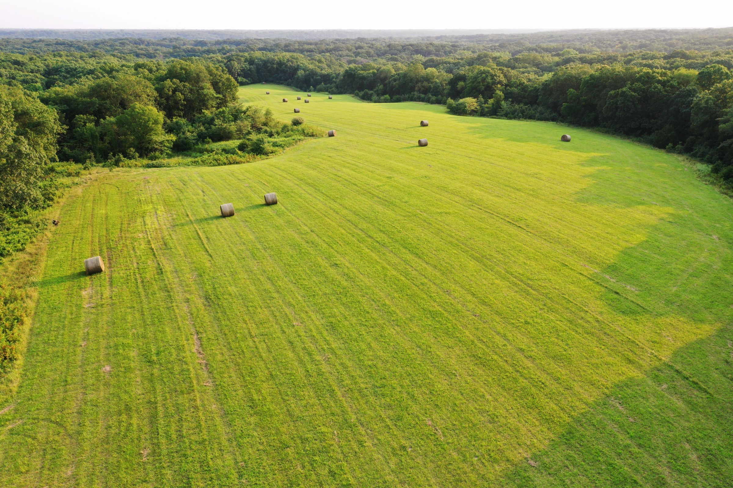 land-lee-county-iowa-340-acres-listing-number-15649-1-2021-07-21-185535.jpg