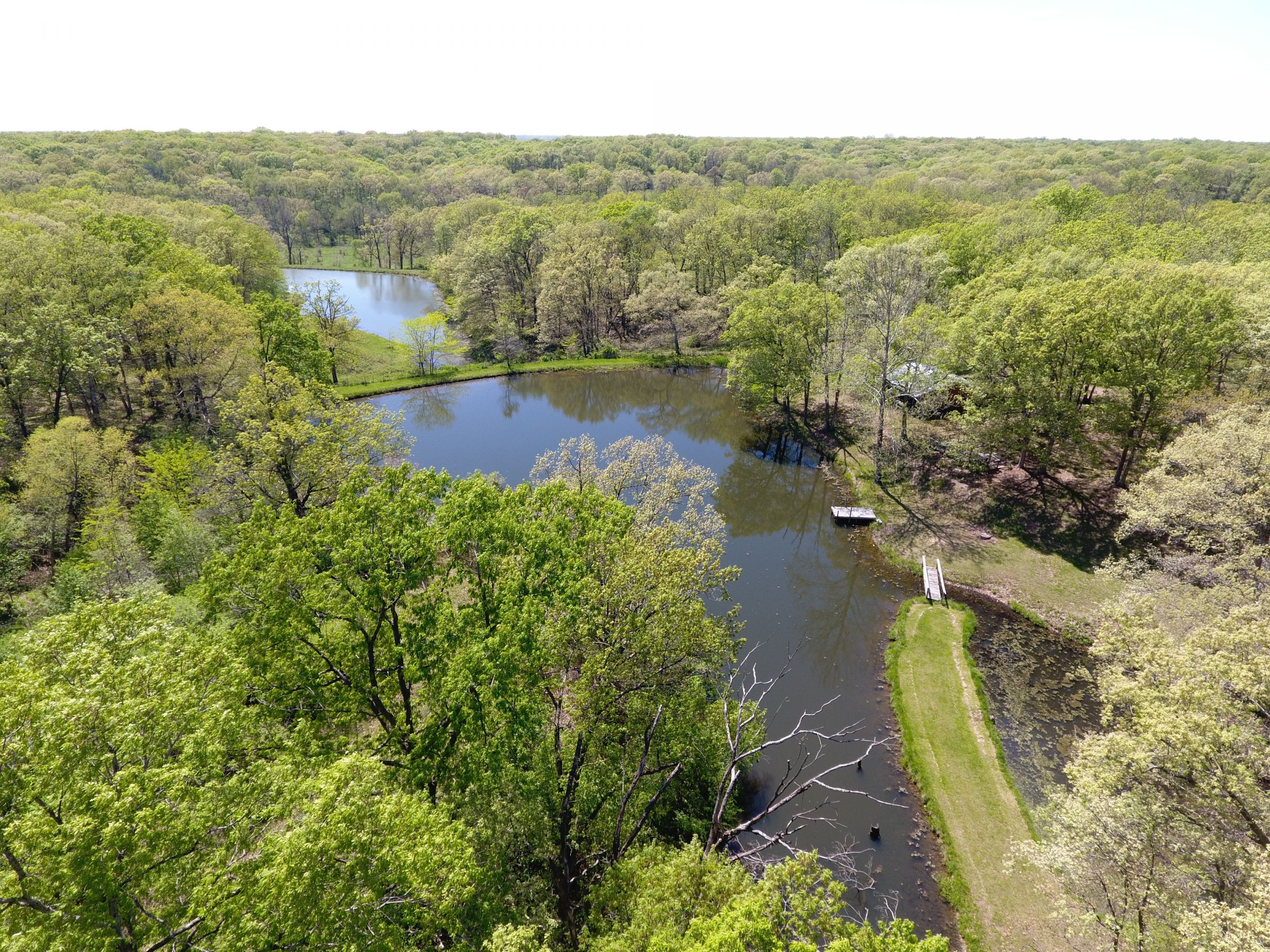 land-lee-county-iowa-340-acres-listing-number-15649-11-2021-07-21-185159.JPG