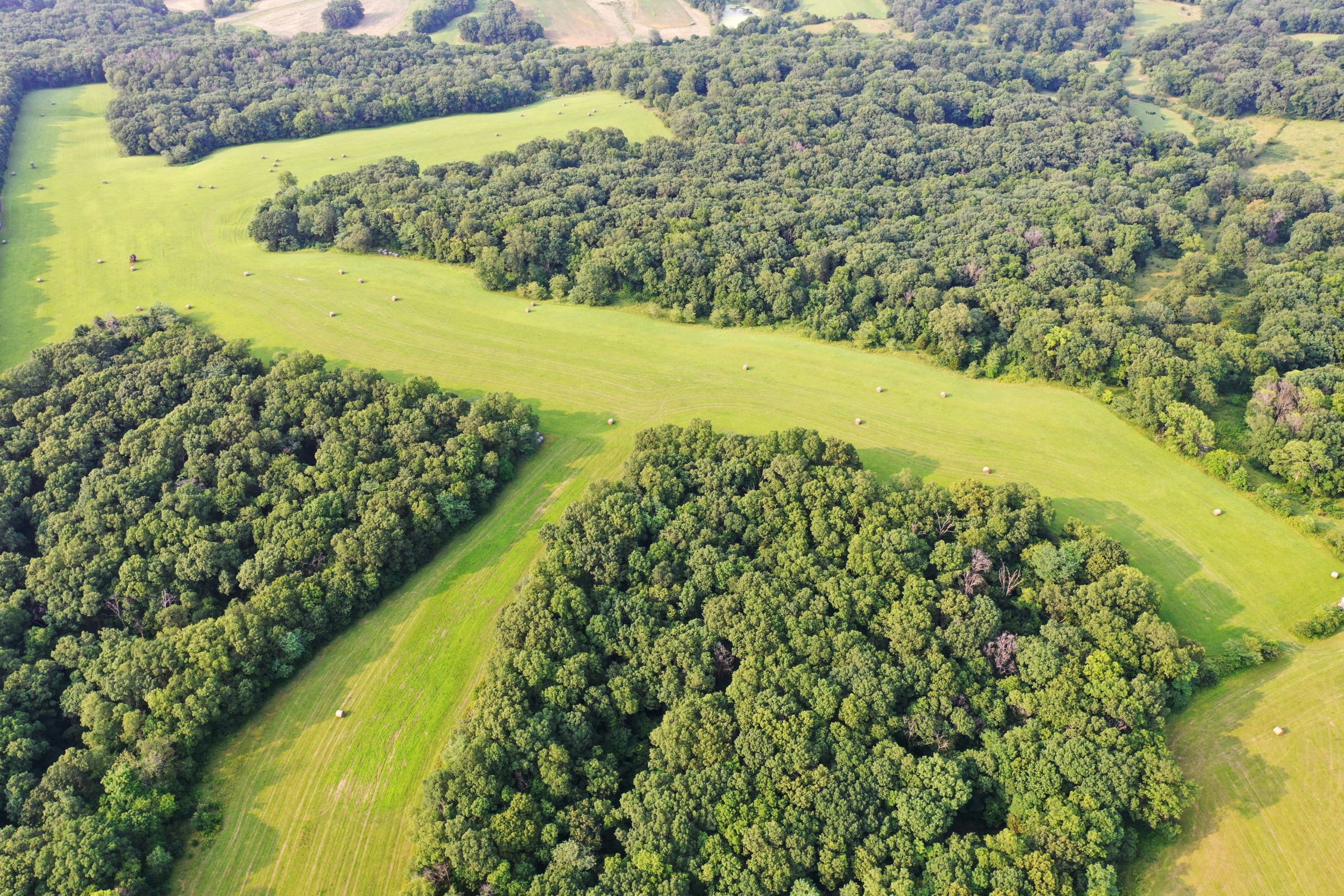 land-lee-county-iowa-340-acres-listing-number-15649-2-2021-07-21-185907.jpg