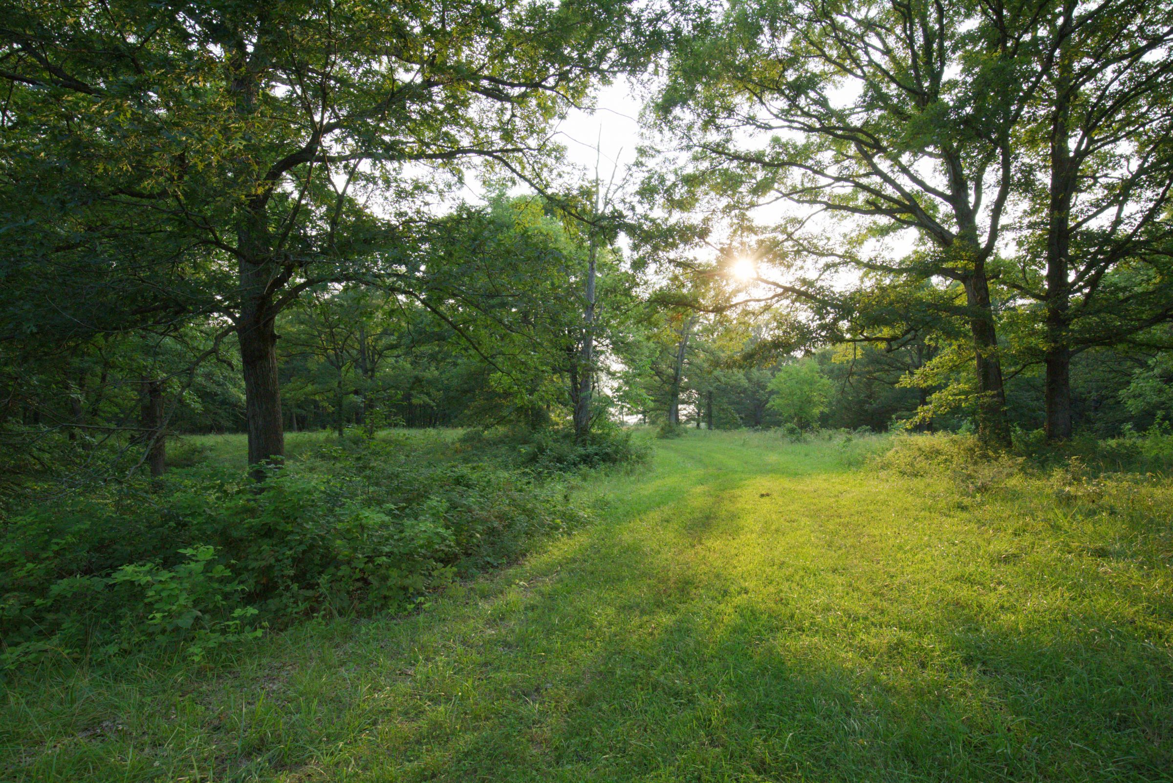 land-lee-county-iowa-340-acres-listing-number-15649-4-2021-07-21-184940.jpg