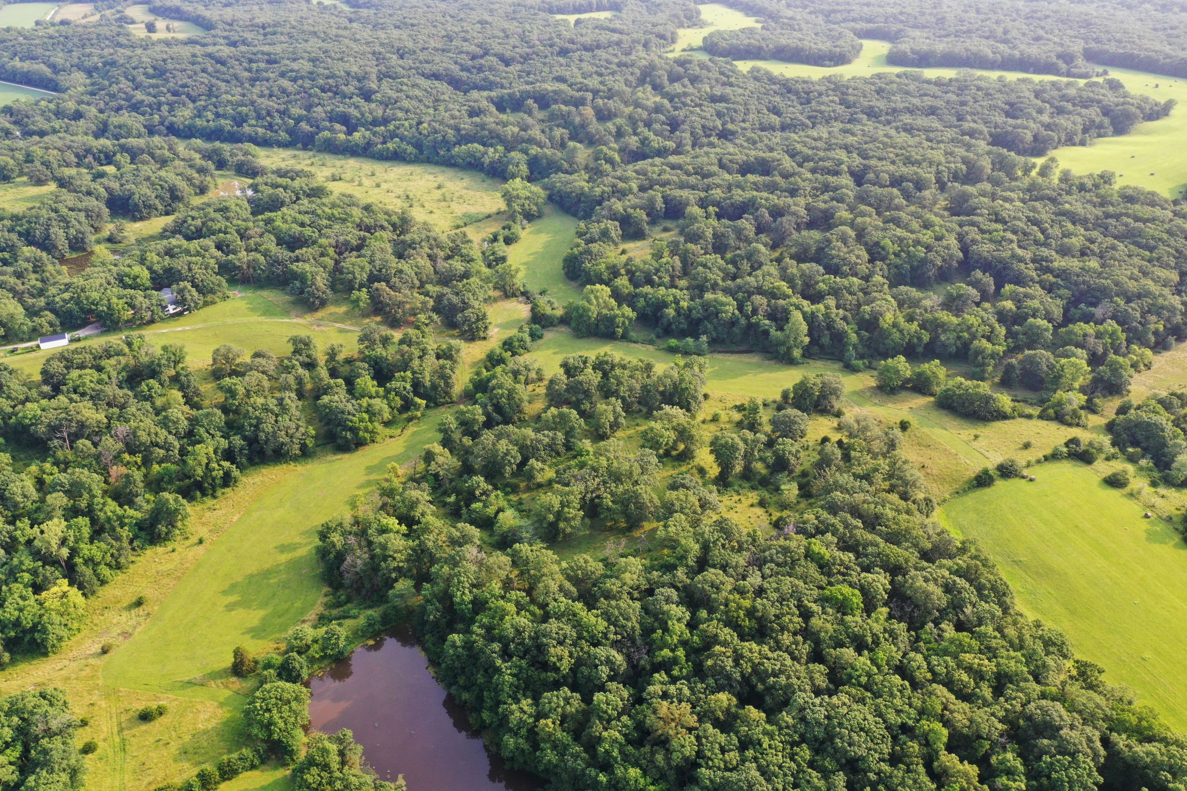 land-lee-county-iowa-340-acres-listing-number-15649-4-2021-07-21-185911.jpg