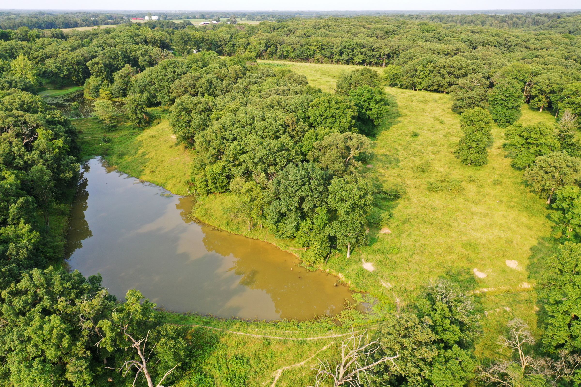 land-lee-county-iowa-340-acres-listing-number-15649-8-2021-07-21-185547.jpg