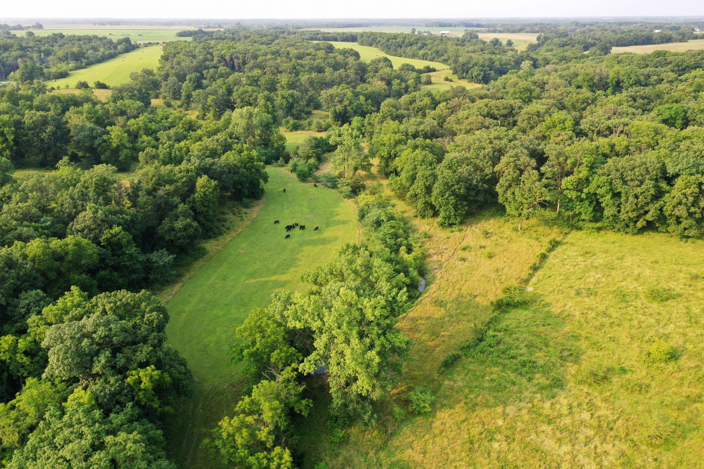 land-lee-county-iowa-340-acres-listing-number-15649-9-2021-07-21-185549.jpg