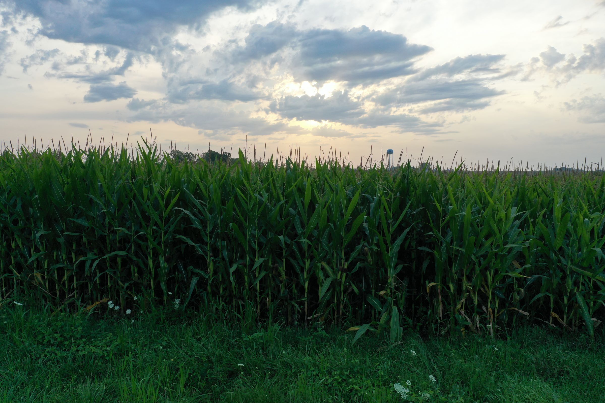 Clarke County Iowa Farmland for Sale