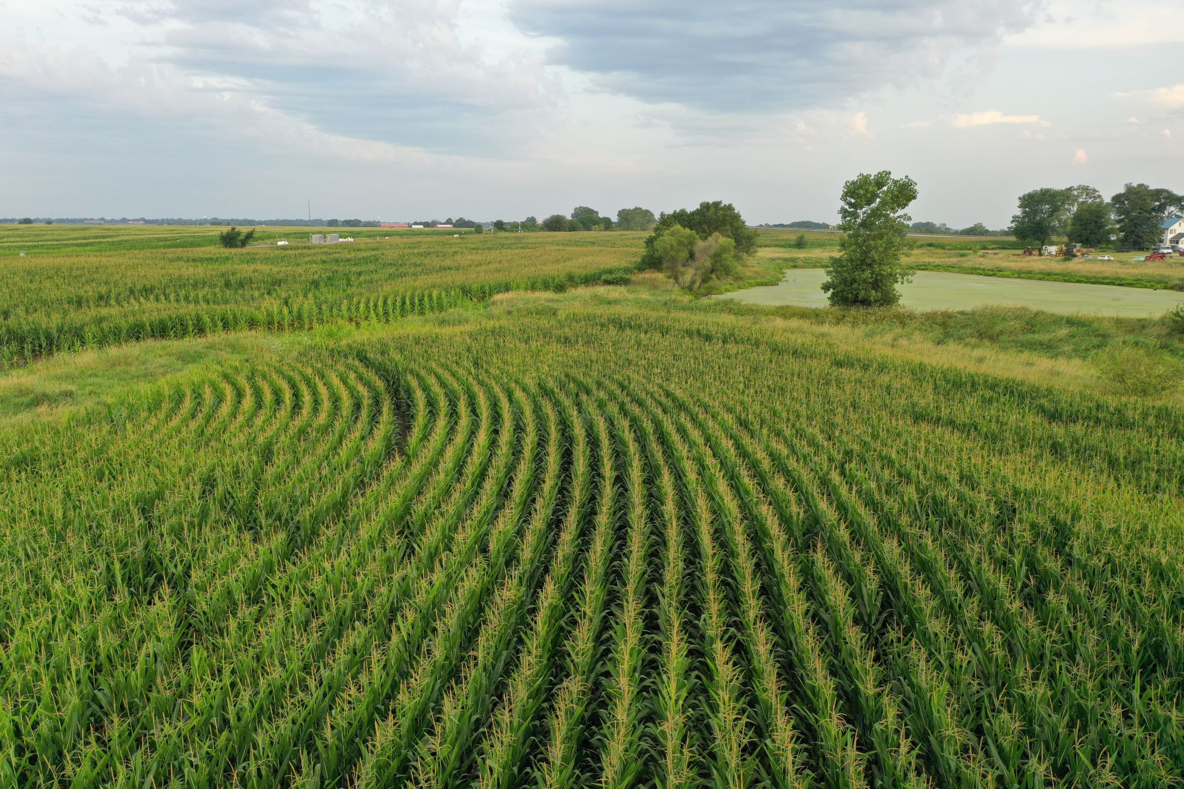 Clarke County Iowa Farmland for Sale