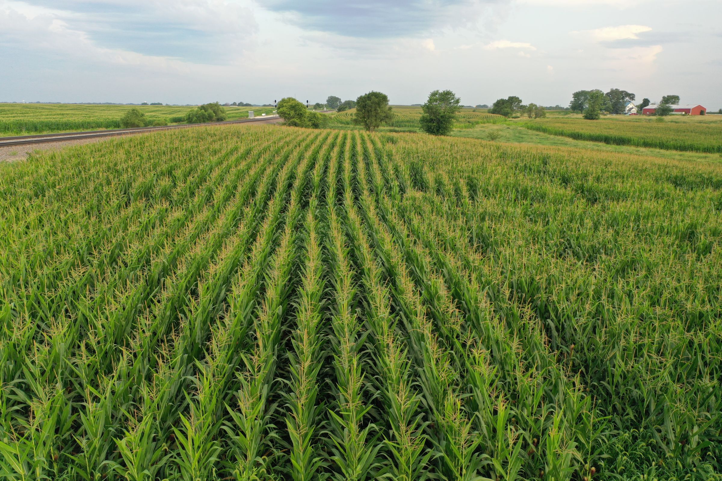 Clarke County Iowa Farmland for Sale