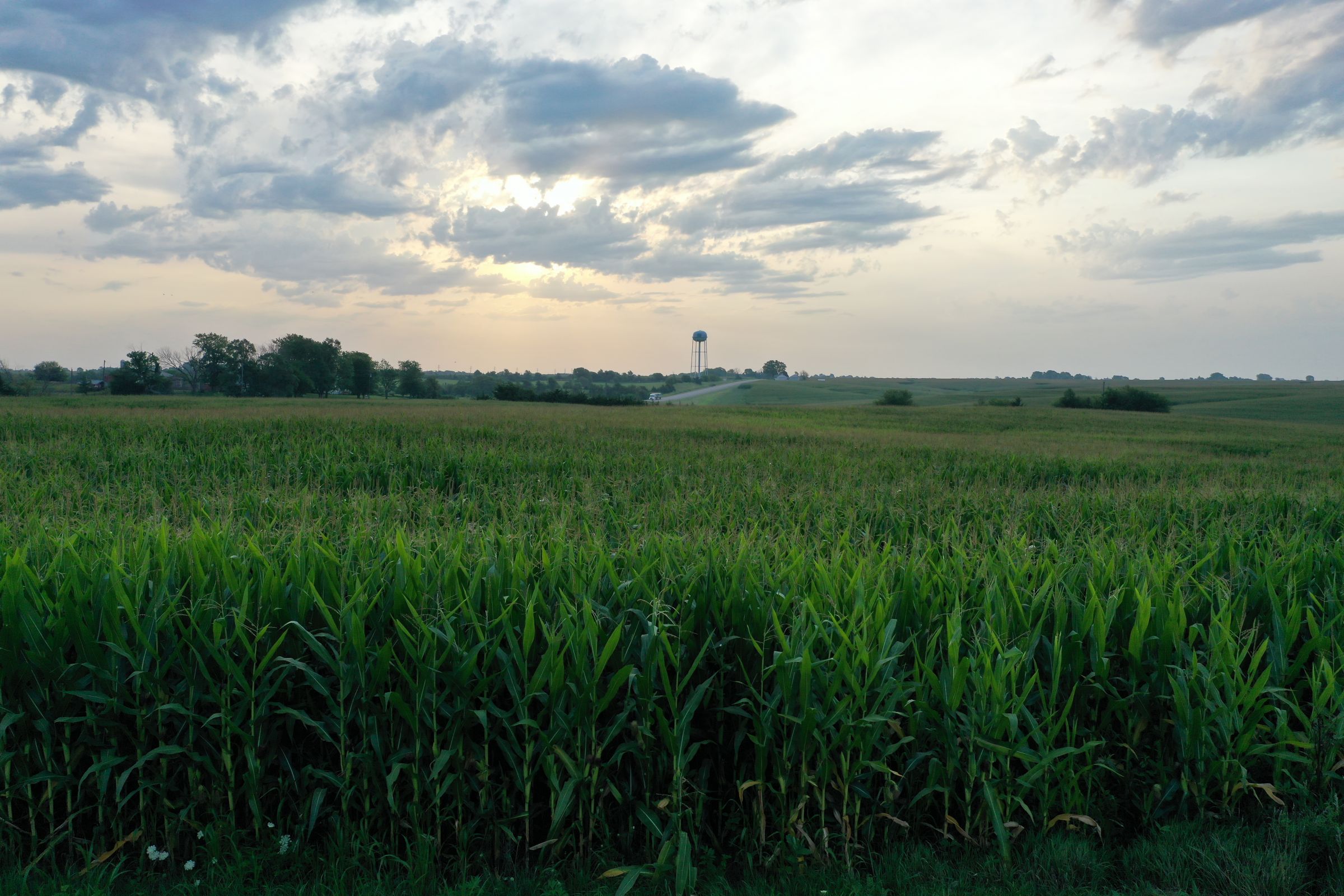 Clarke County Iowa Farmland for Sale