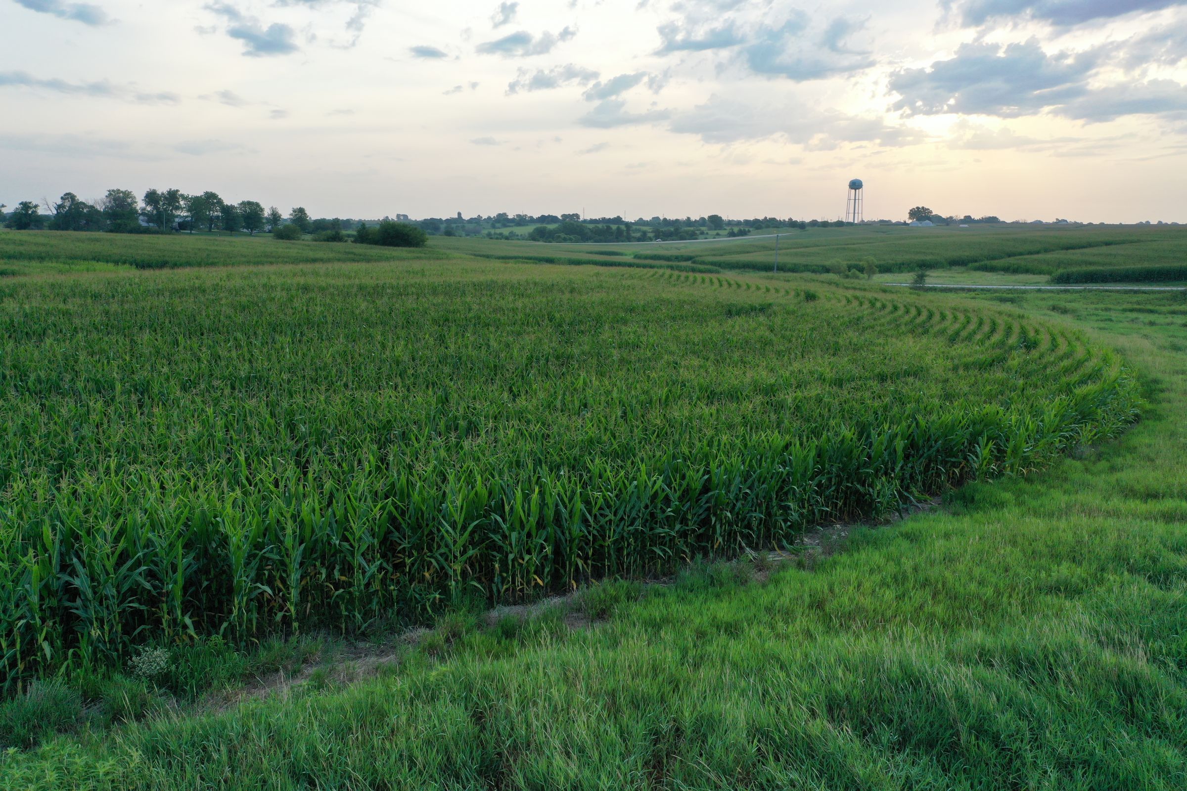 Clarke County Iowa Farmland for Sale