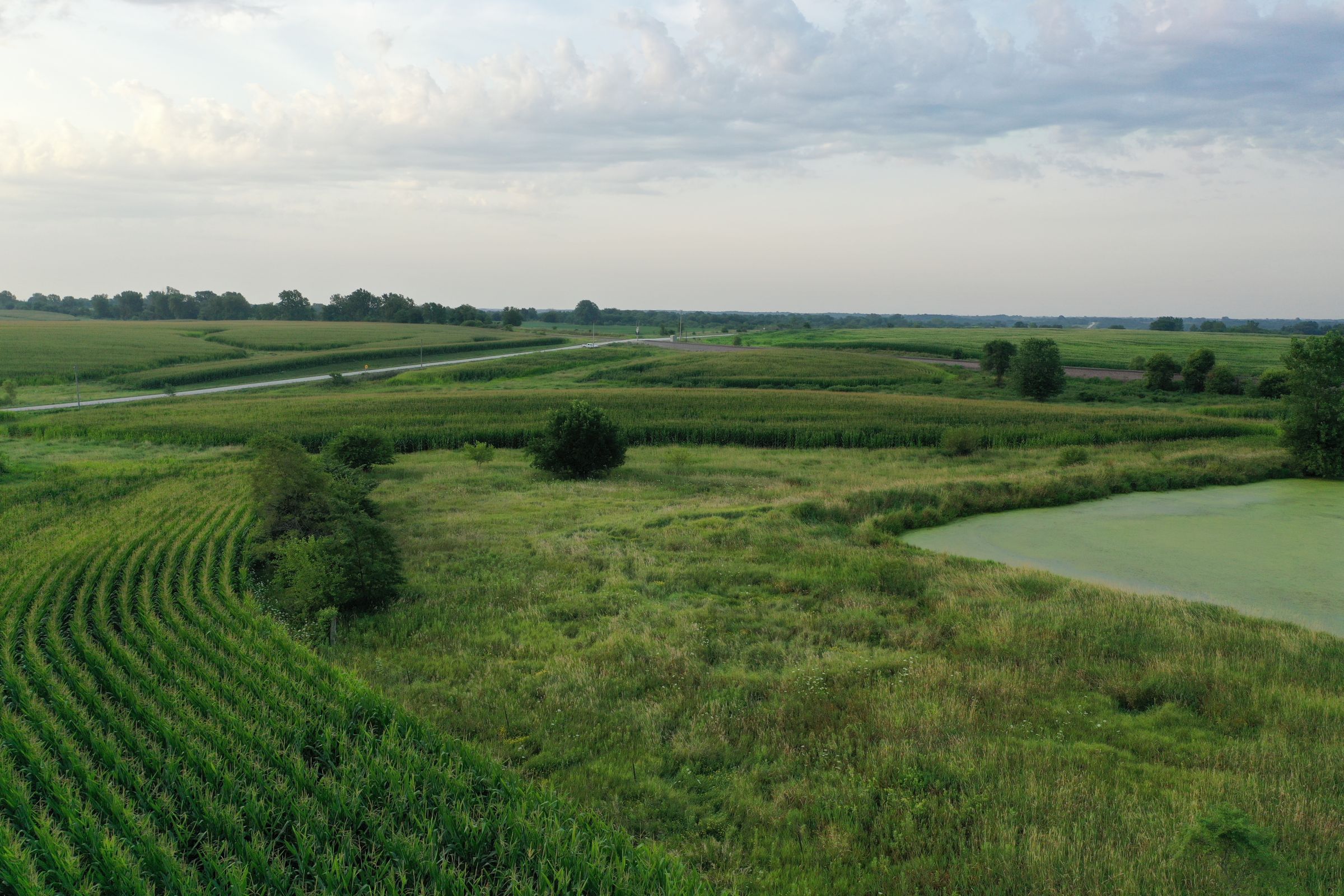 Clarke County Iowa Farmland for Sale