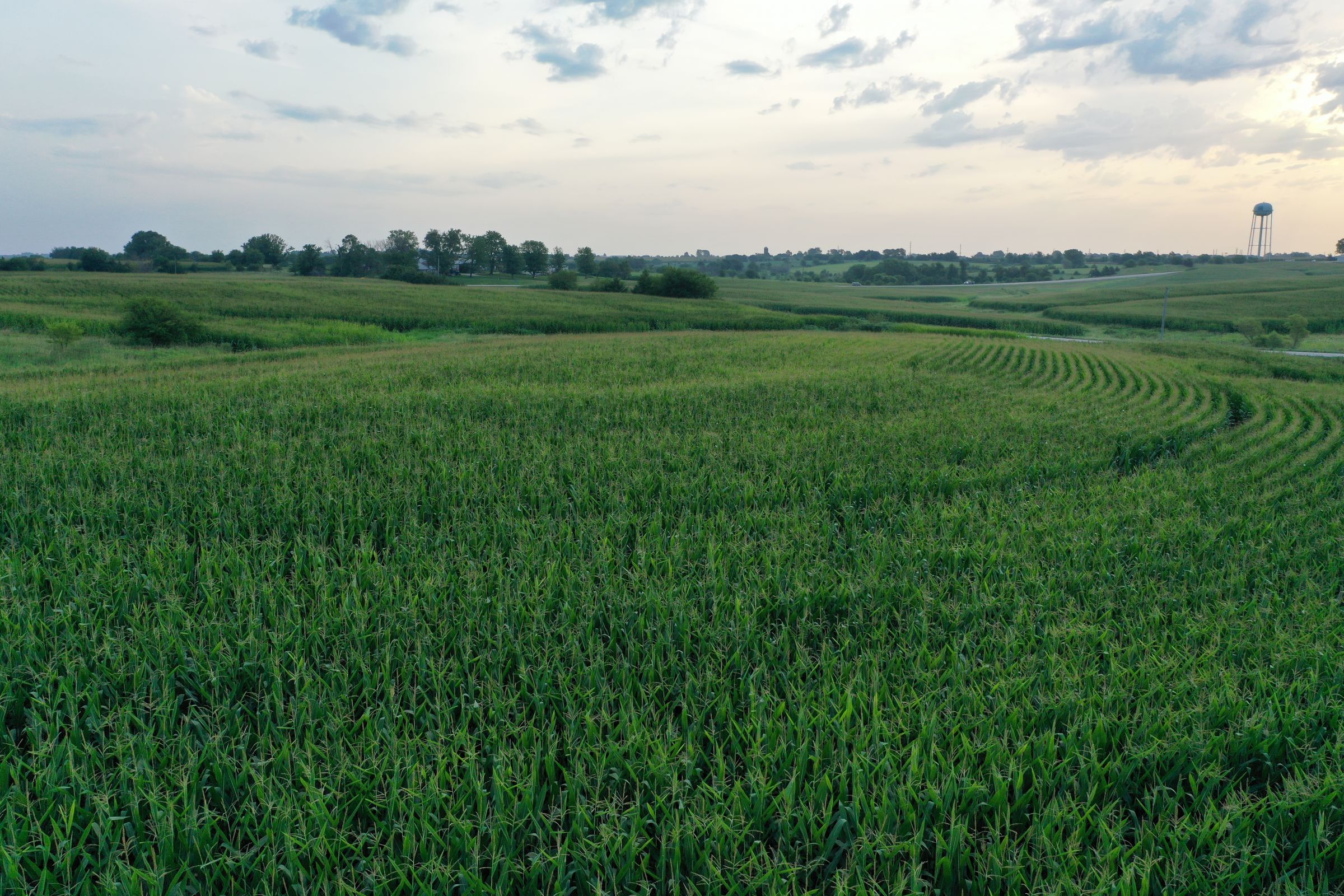 Clarke County Iowa Farmland for Sale