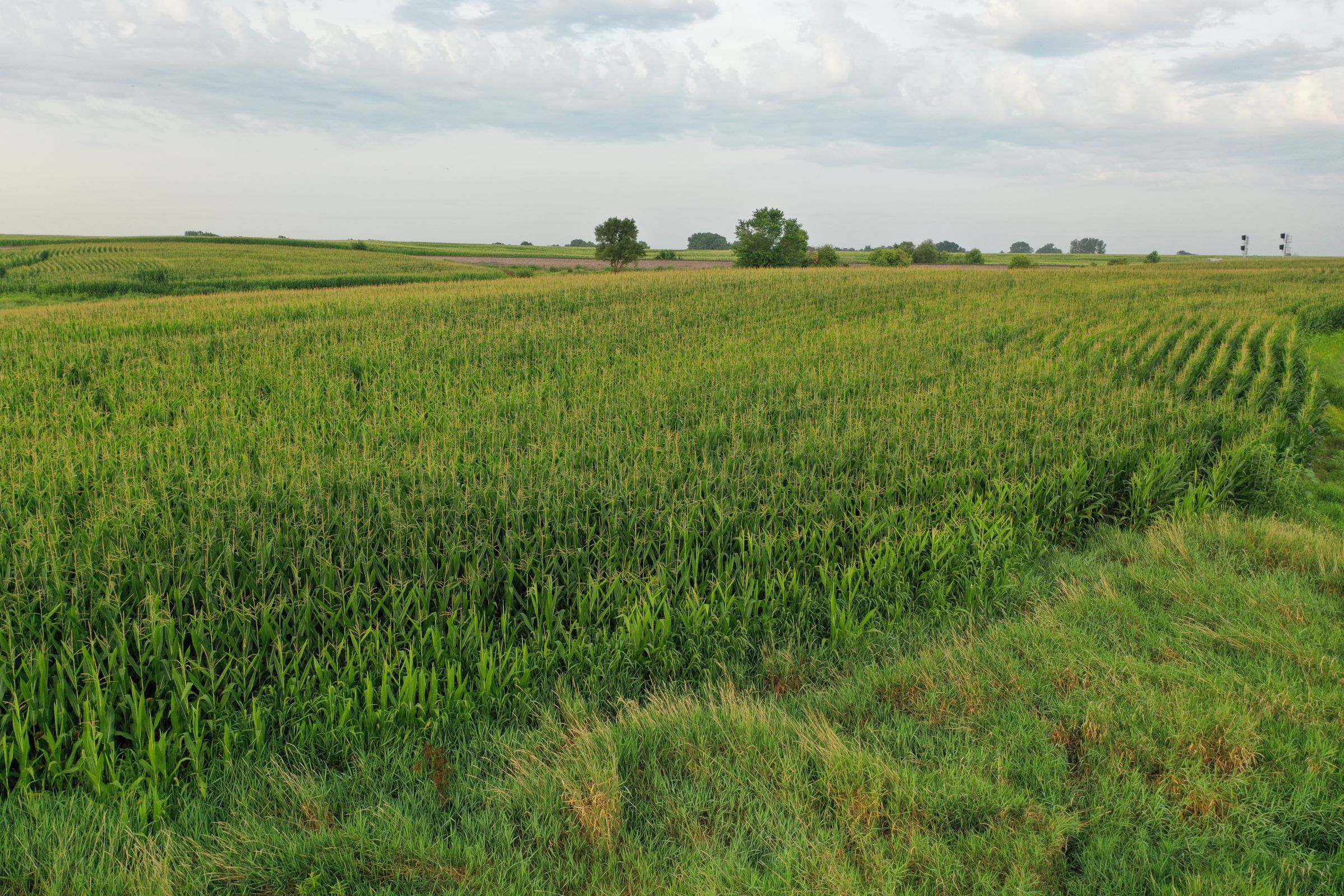 Clarke County Iowa Farmland for Sale