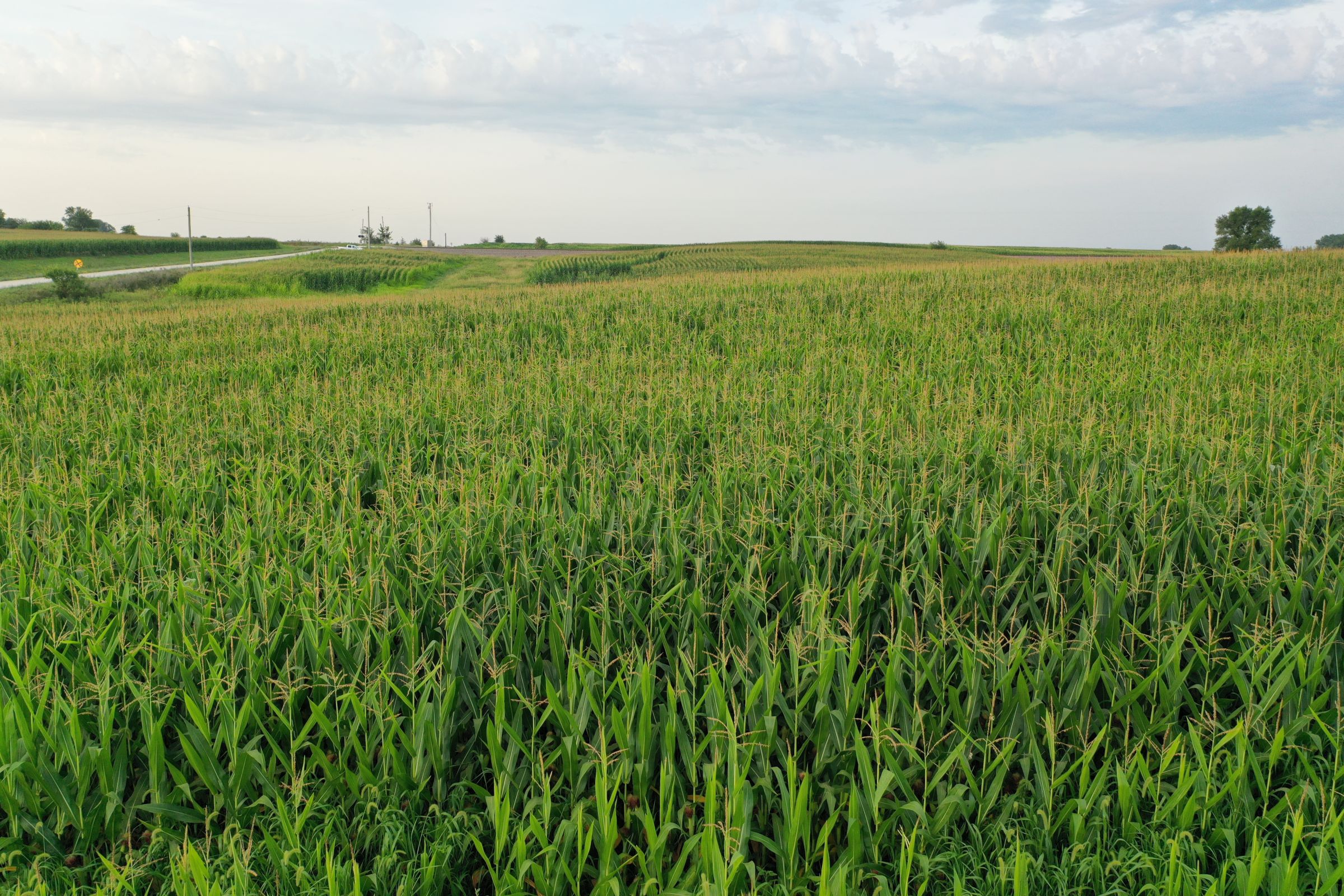 Clarke County Iowa Farmland for Sale