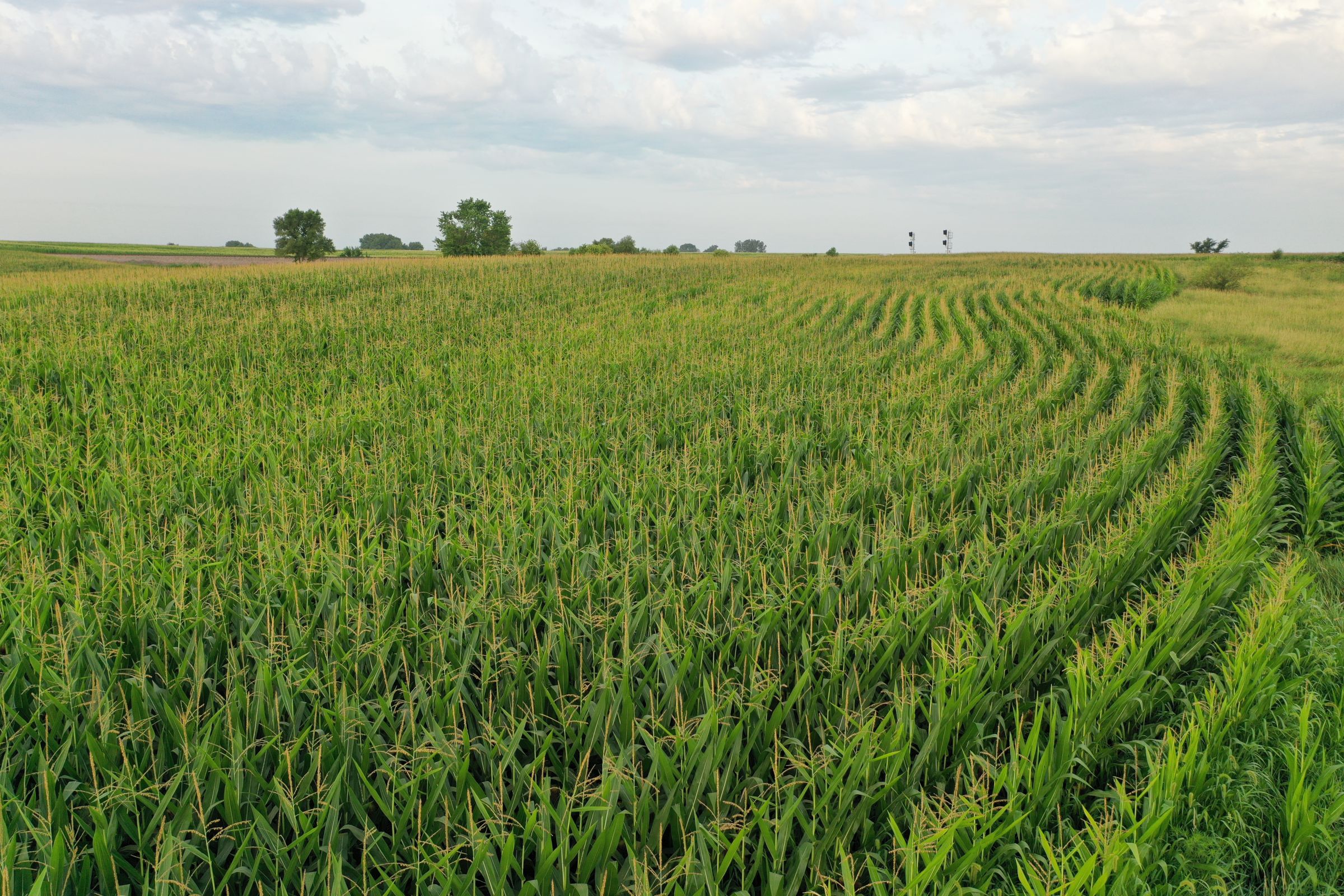 Clarke County Iowa Farmland for Sale