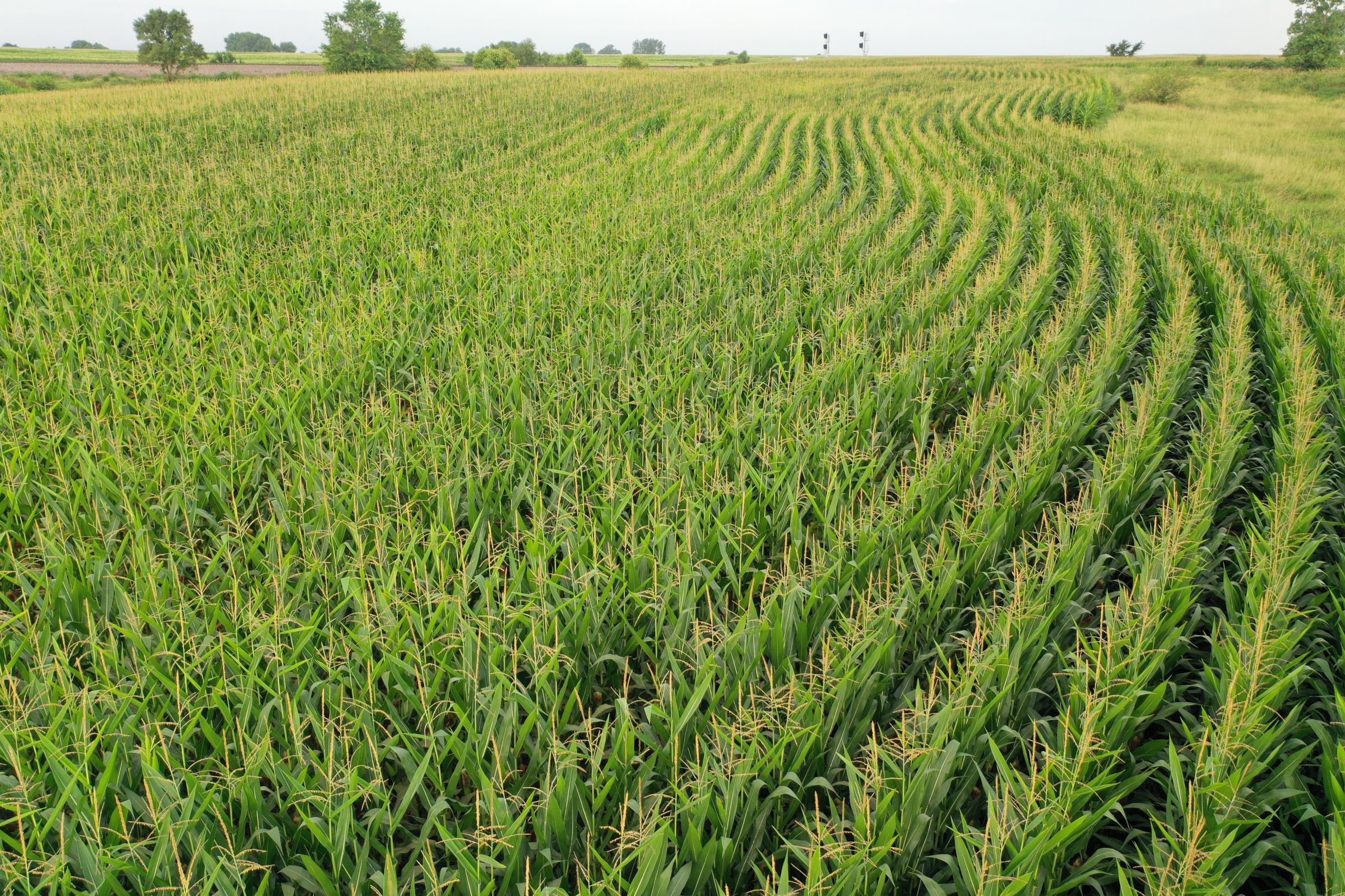 Clarke County Iowa Farmland for Sale