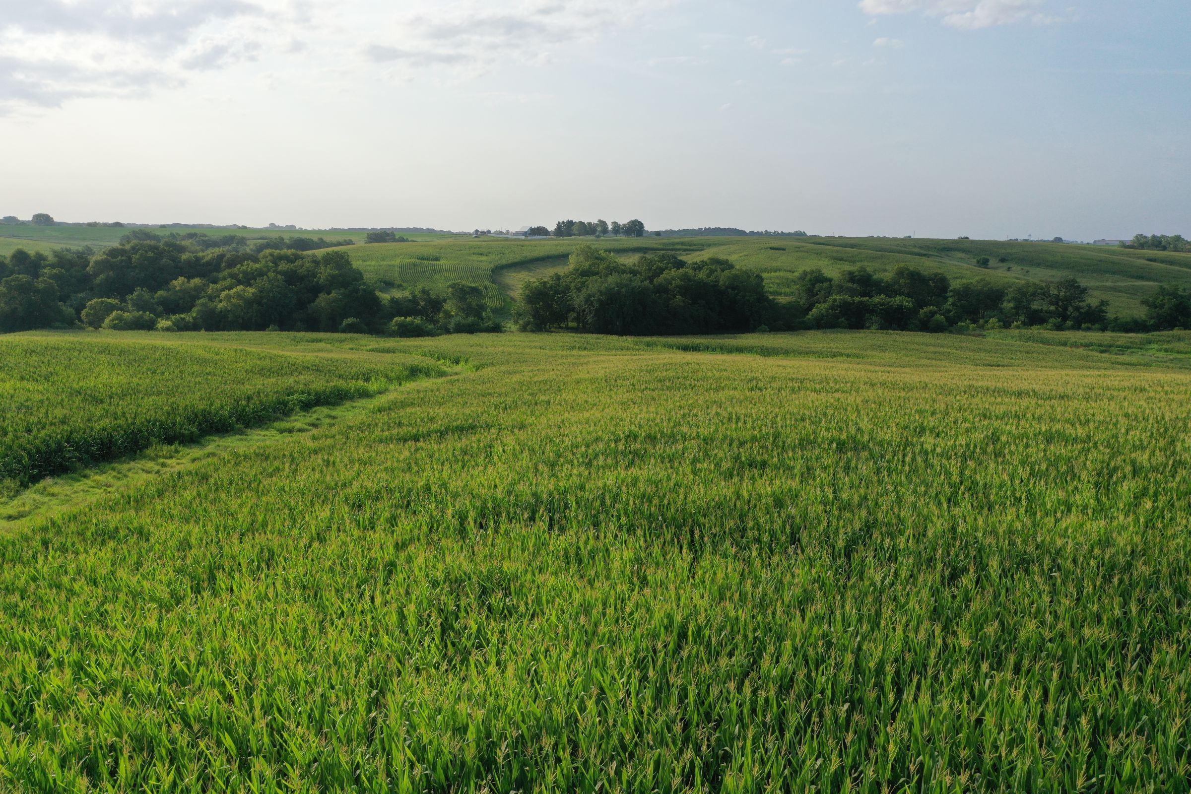 Clarke County Iowa Farmland For Sale