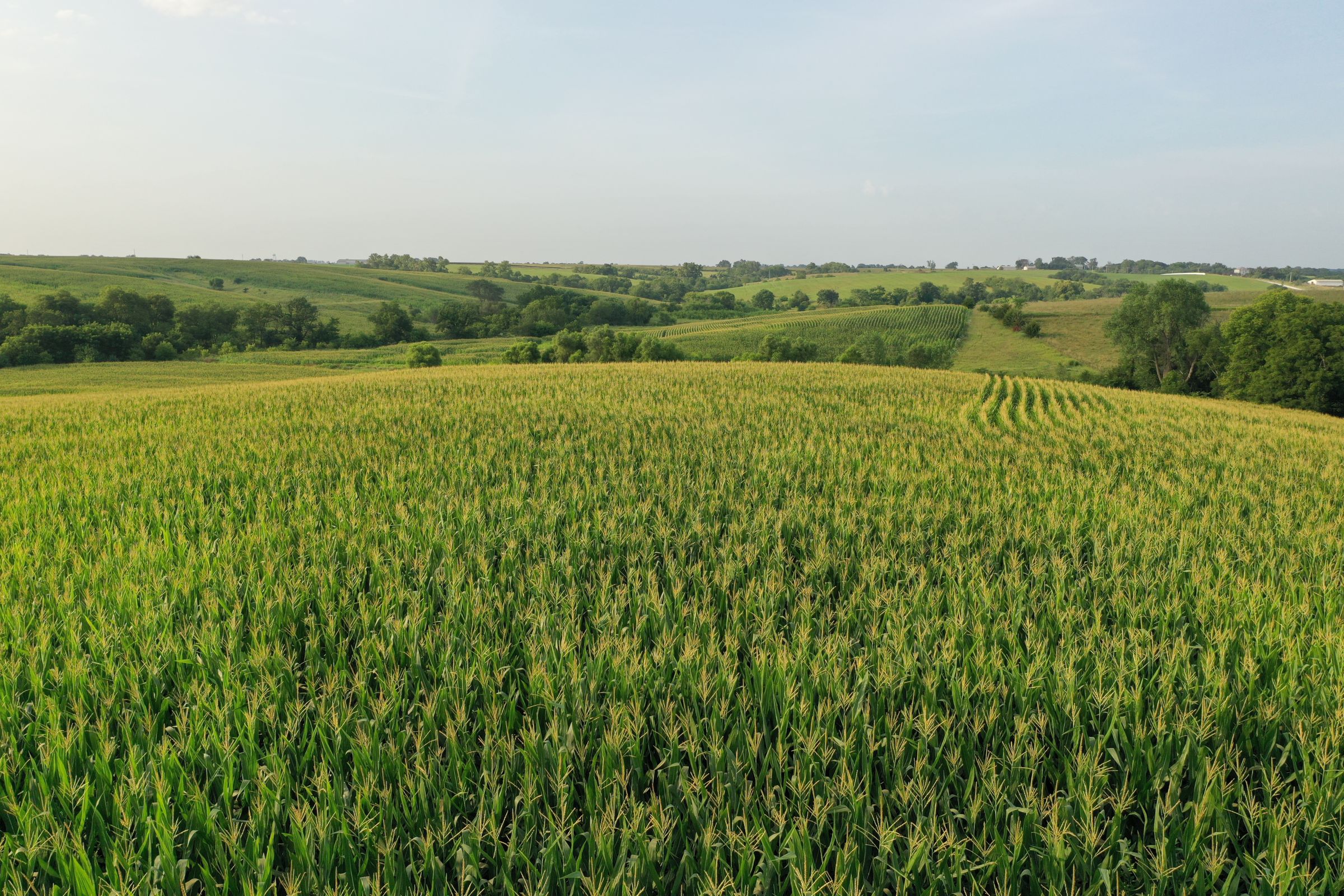 Clarke County Iowa Farmland For Sale