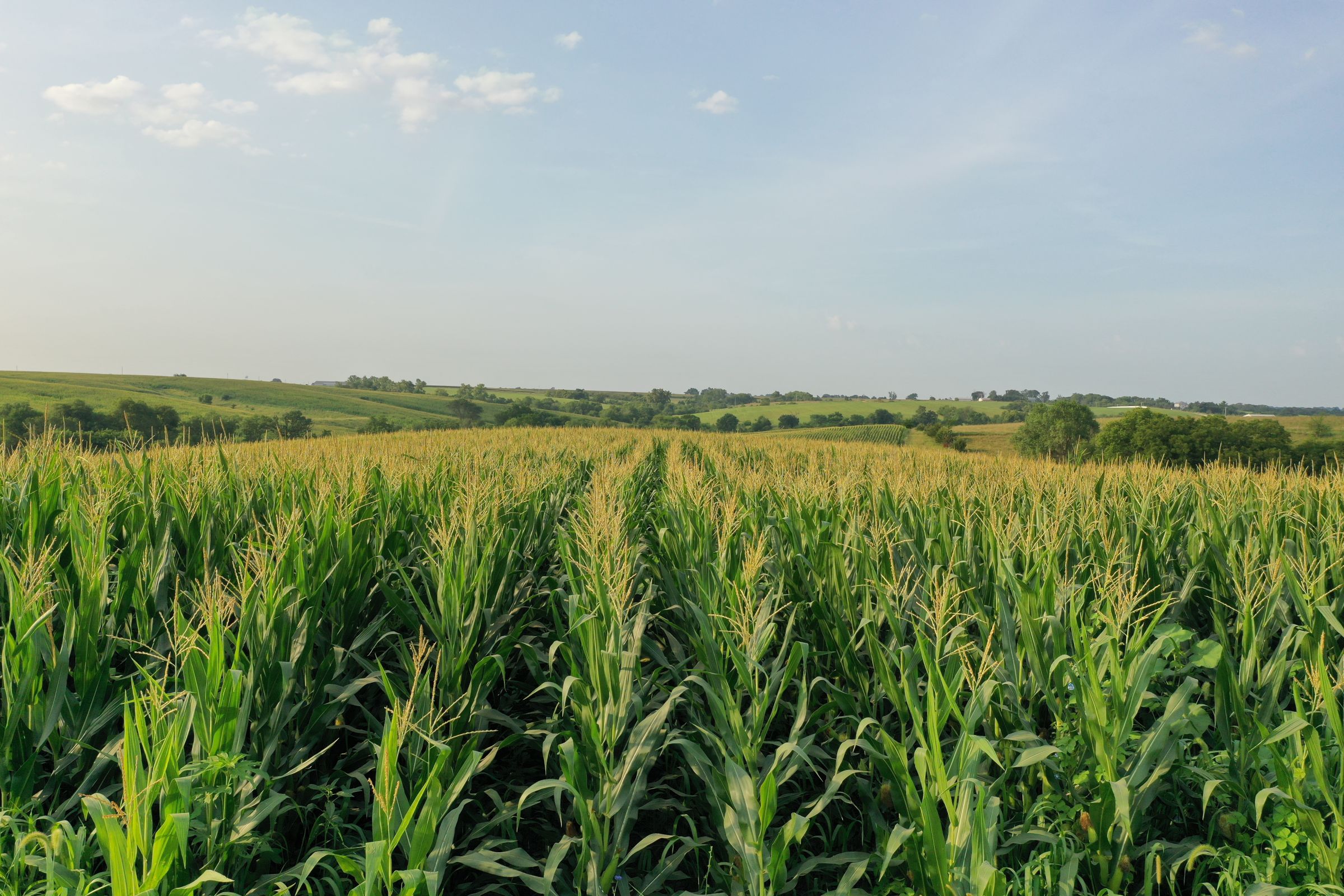 Clarke County Iowa Farmland For Sale